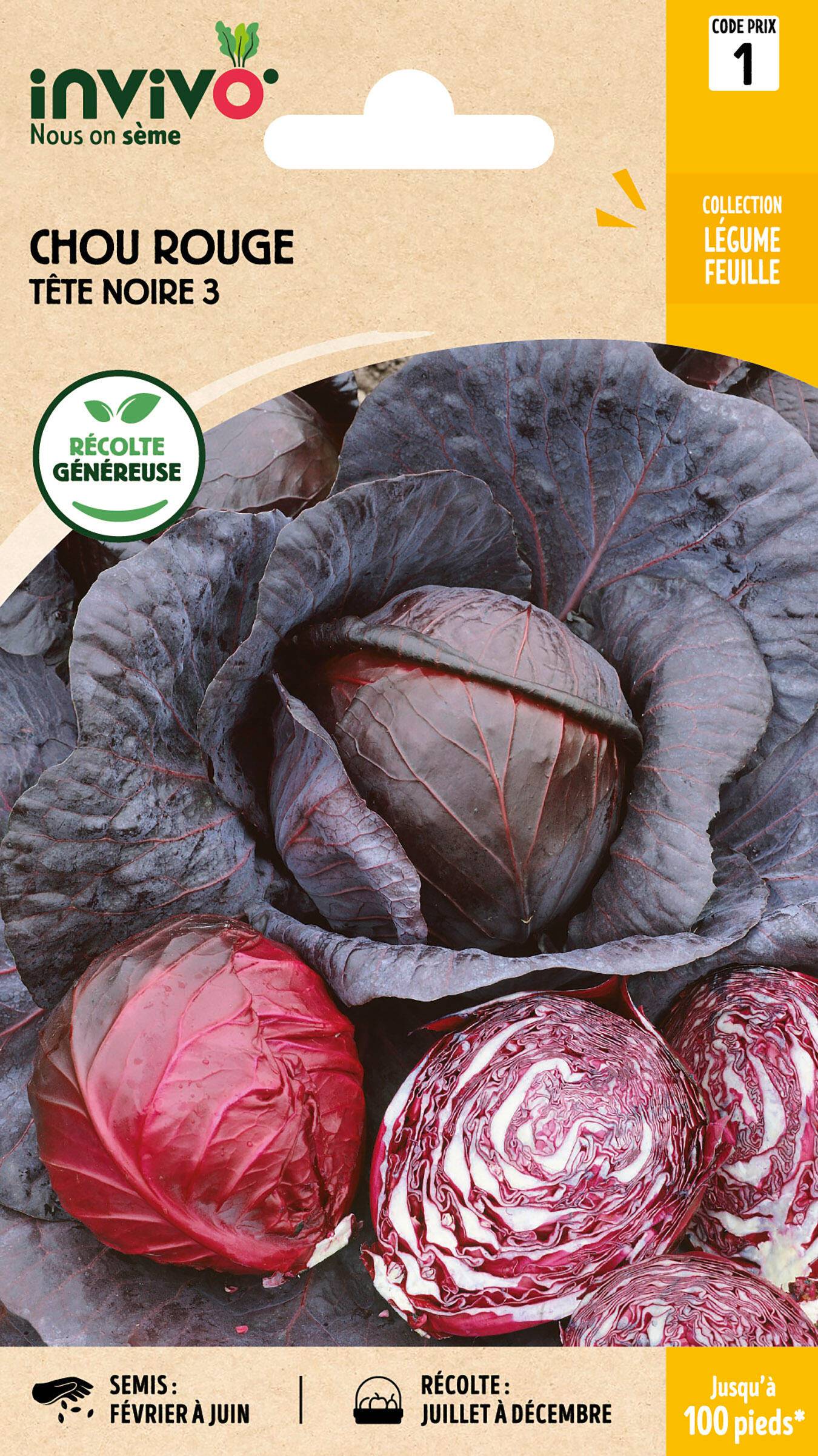 Invivo Nous On Sème - Chou Rouge Tête Noire sachet de 2g - Série 1 - INVIVO Nous on sème
