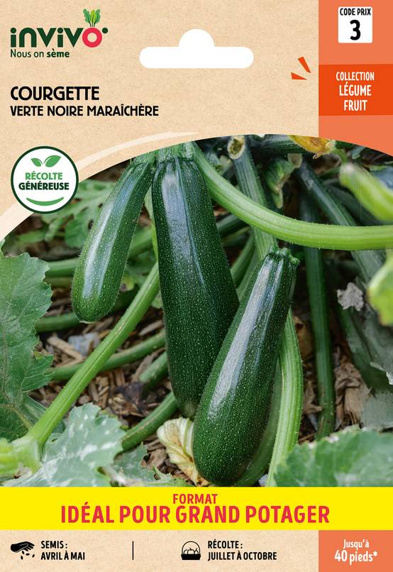 Invivo Nous On Sème - Courgette Verte Noire Maraîchère sachet de 10g grand modèle - Série 3 - INVIVO Nous on sème - Image 1
