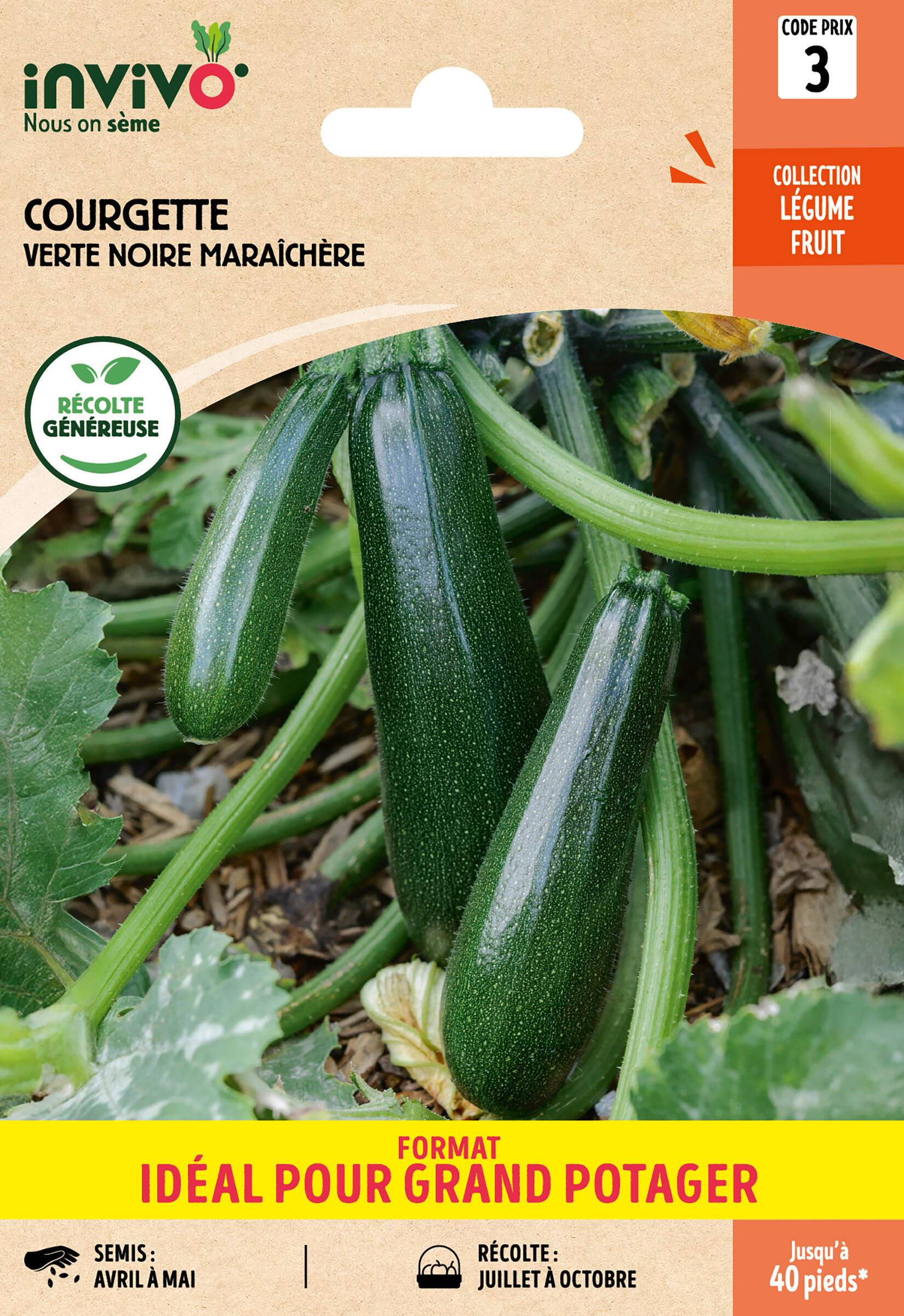 Invivo Nous On Sème - Courgette Verte Noire Maraîchère  sachet de 10g grand modèle - Série 3 - INVIVO Nous on sème