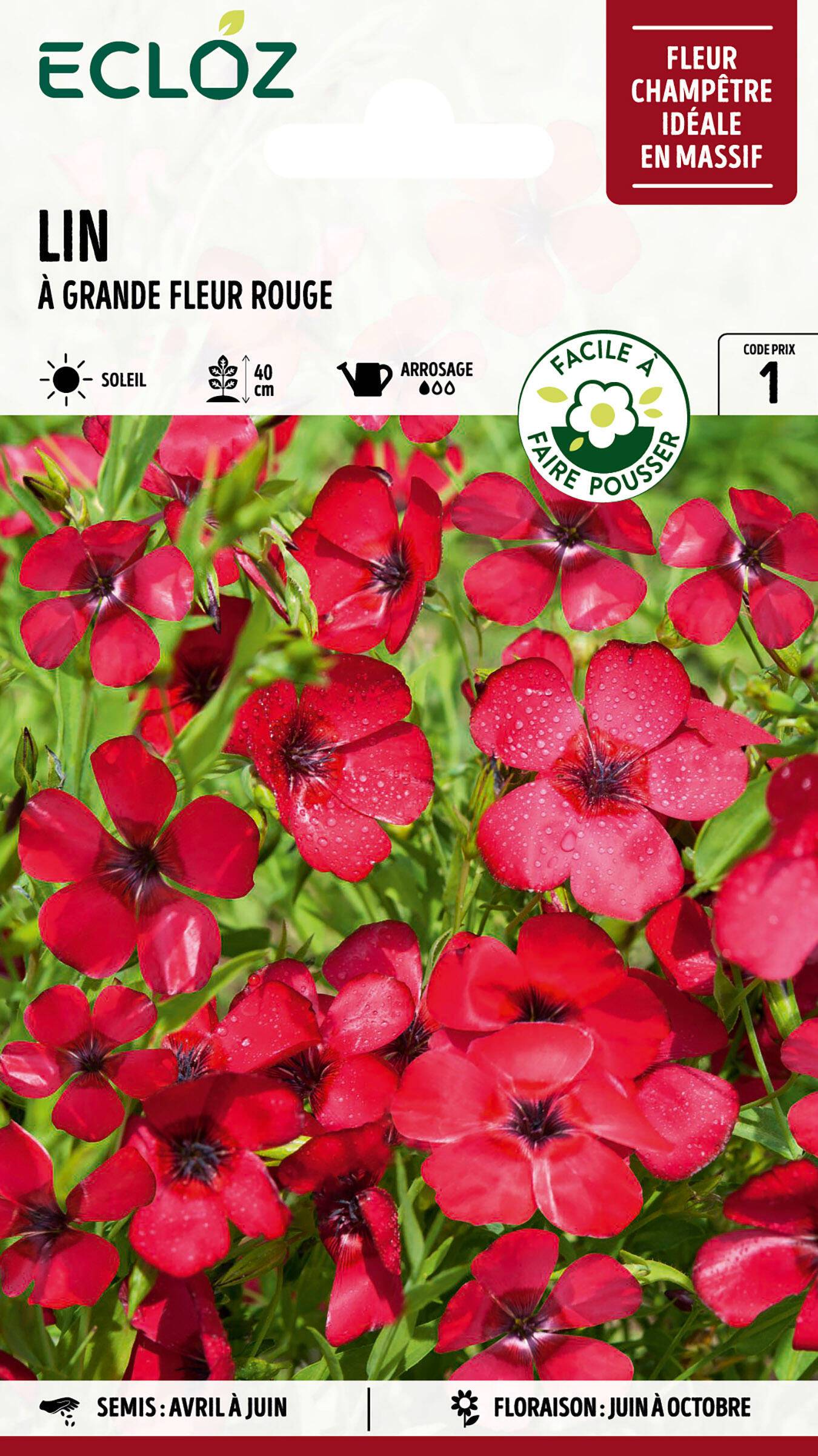Ecloz - Lin à grande fleur rouge graines sachet 2 g - ECLOZ - Image 1