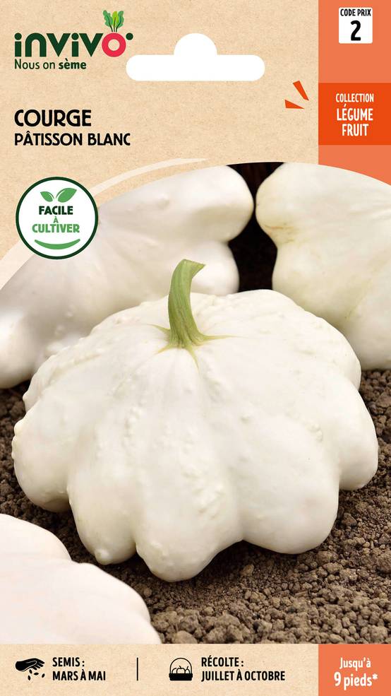 Invivo Nous On Sème - Courge Pâtisson Blanc sachet de 3g - Série 2 - INVIVO Nous on sème - Image 1