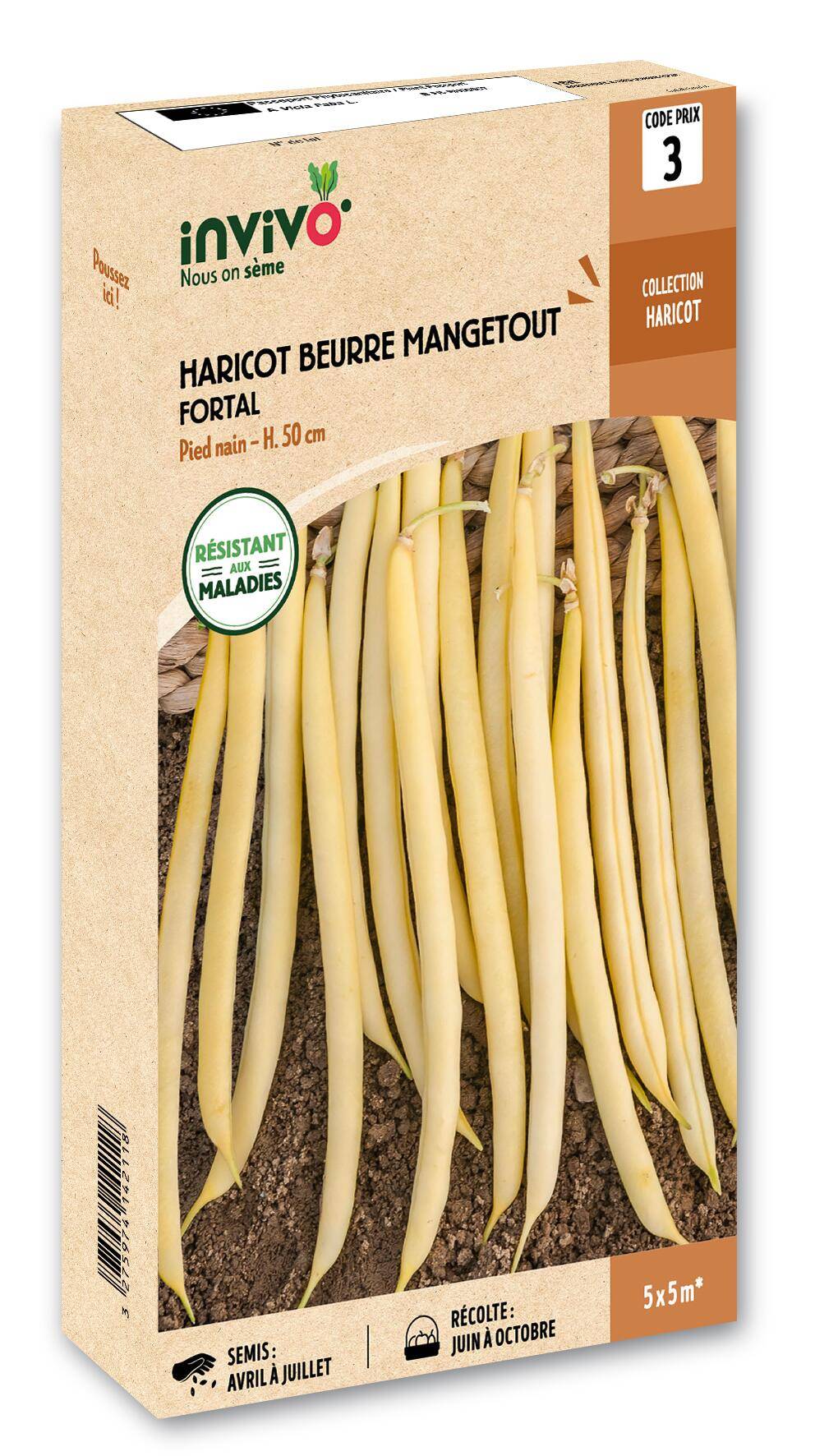 Invivo Nous On Sème - Haricot Nain Mangetout Beurre Fortal  boîte de 200g - Série 3 - INVIVO Nous on sème - Image 1
