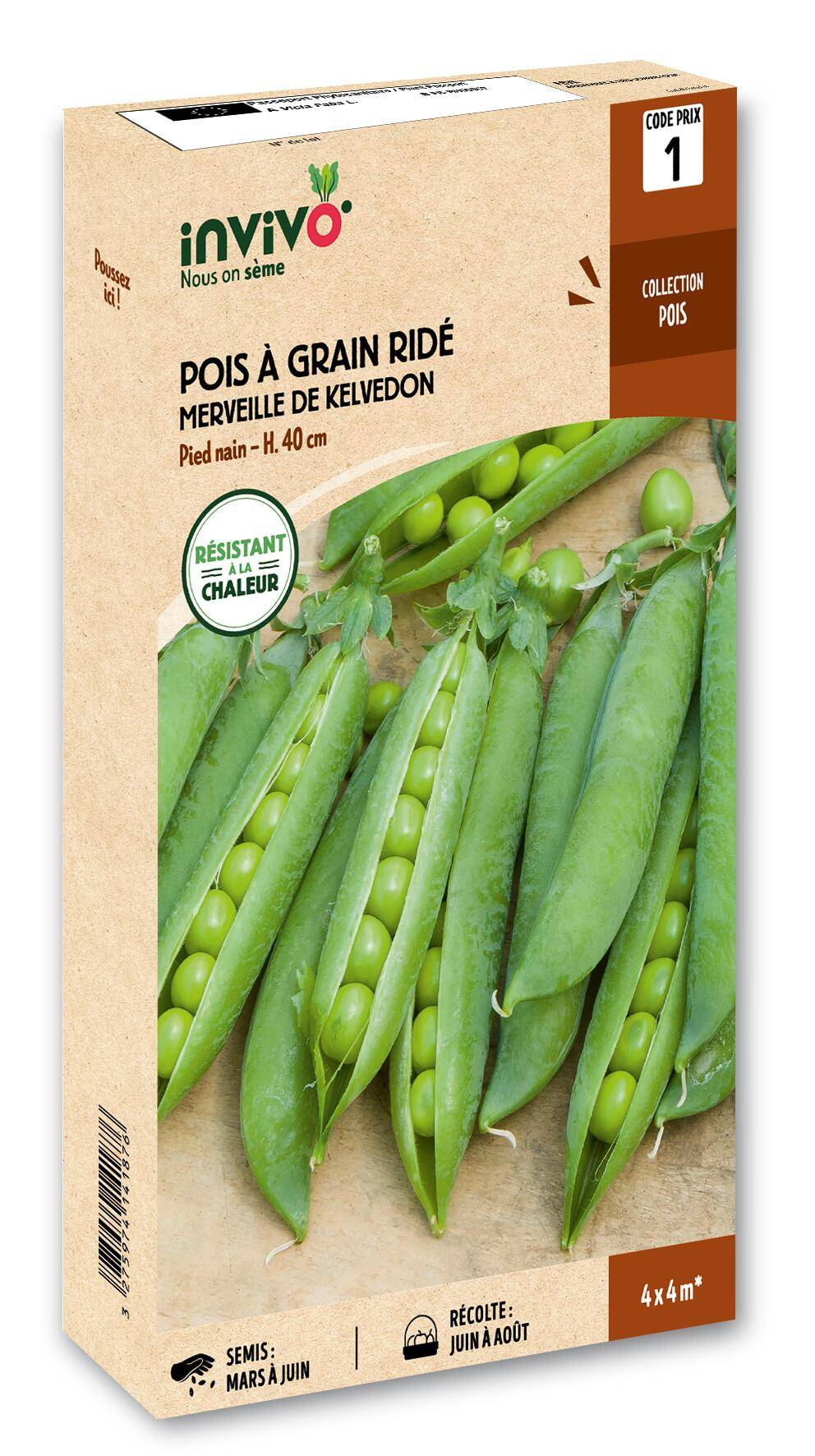 Invivo Nous On Sème - Pois Nain à Grain Ridé Merveille de Kelvedon  boîte de 200g - Série 1 - INVIVO Nous on sème