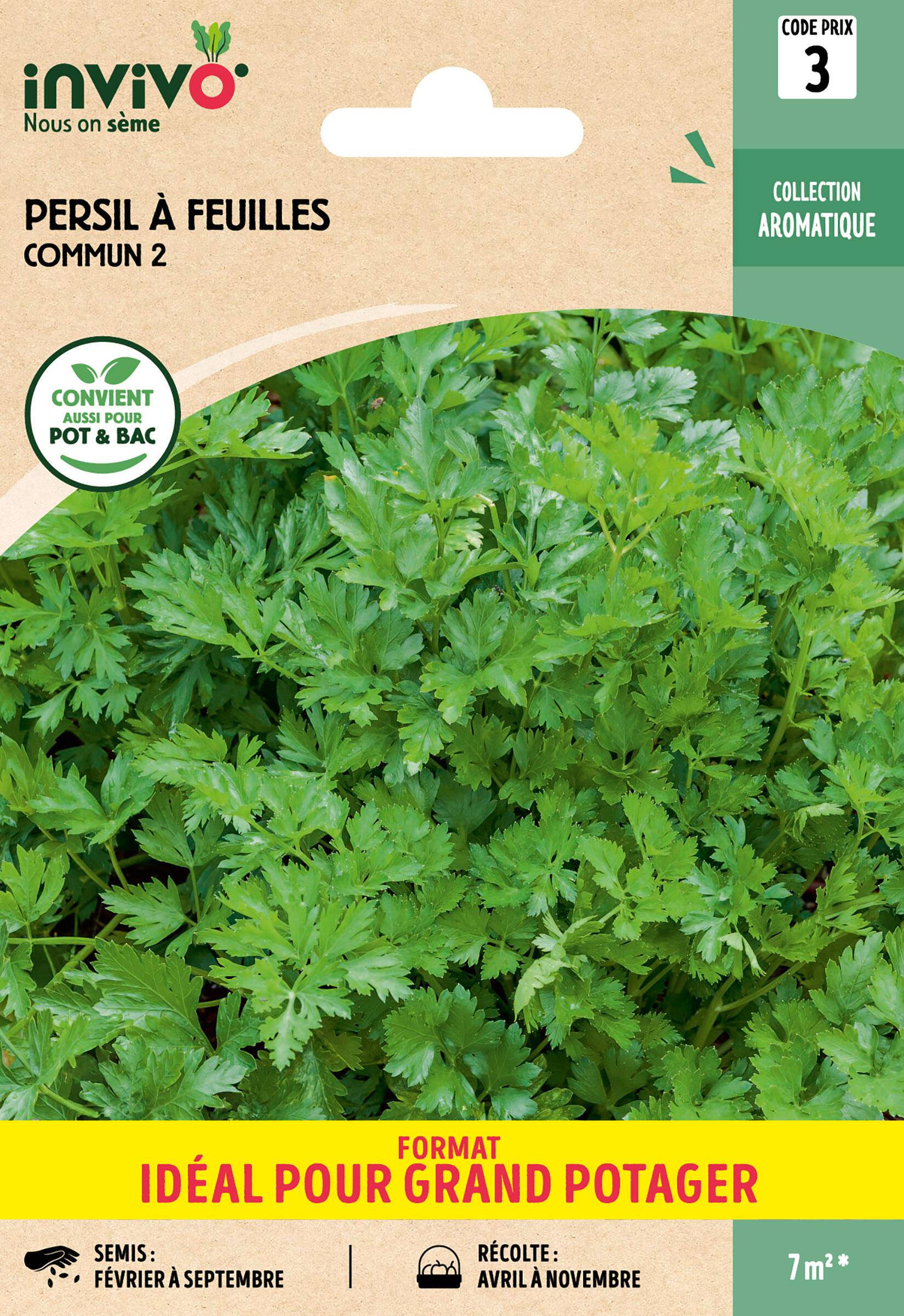 Invivo Nous On Sème - Persil à feuilles commun graines sachet    13 g - INVIVO Nous on sème