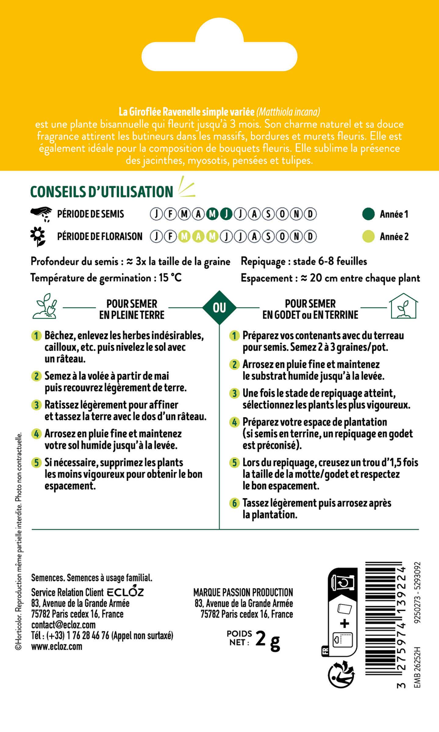 Ecloz - Giroflée Ravenelle simple variée graines sachet 2 g - ECLOZ - Image 2