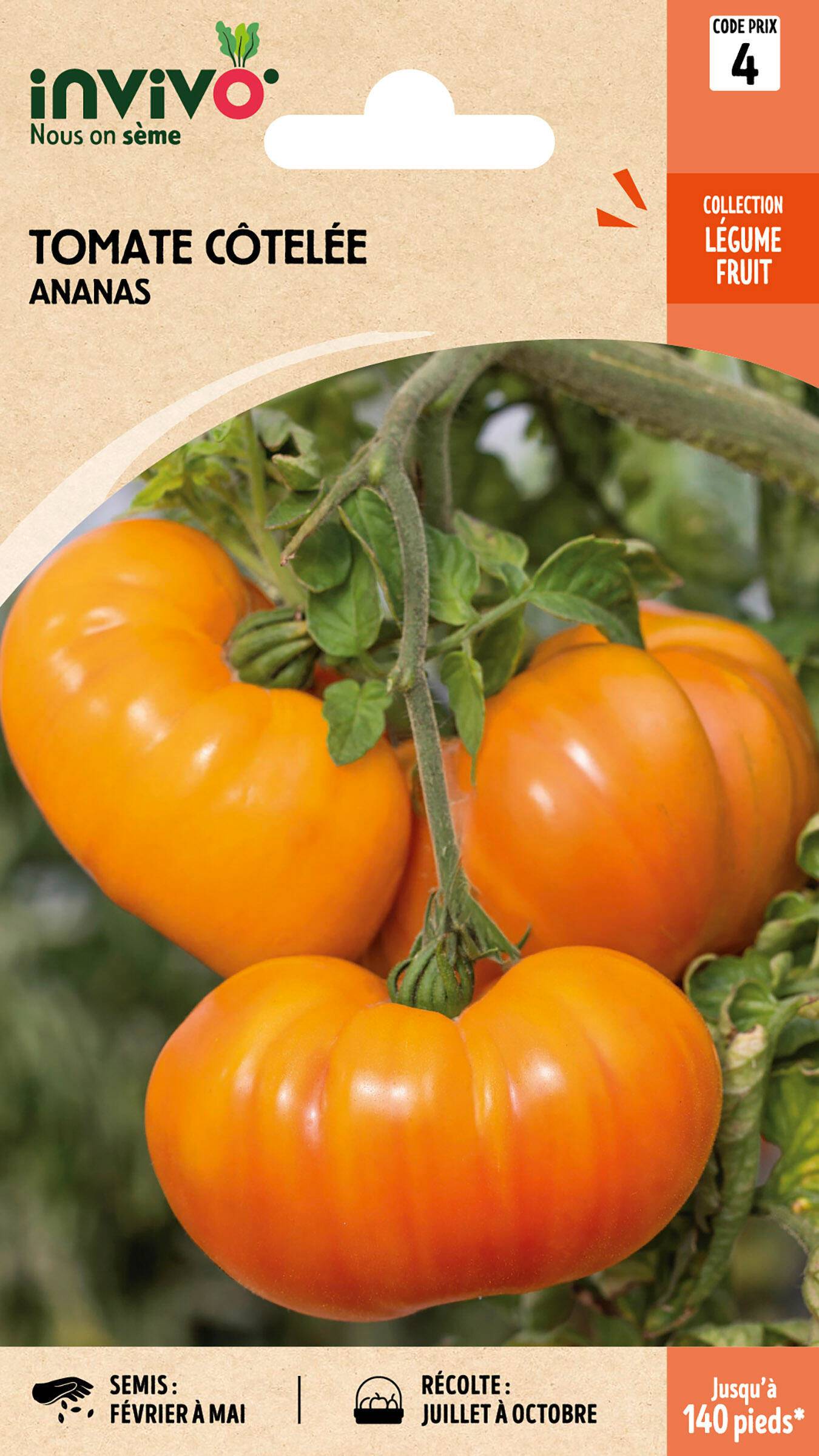 Invivo Nous On Sème - Tomate Côtelée Ananas sachet de 0,8g - Série 4 - INVIVO Nous on sème