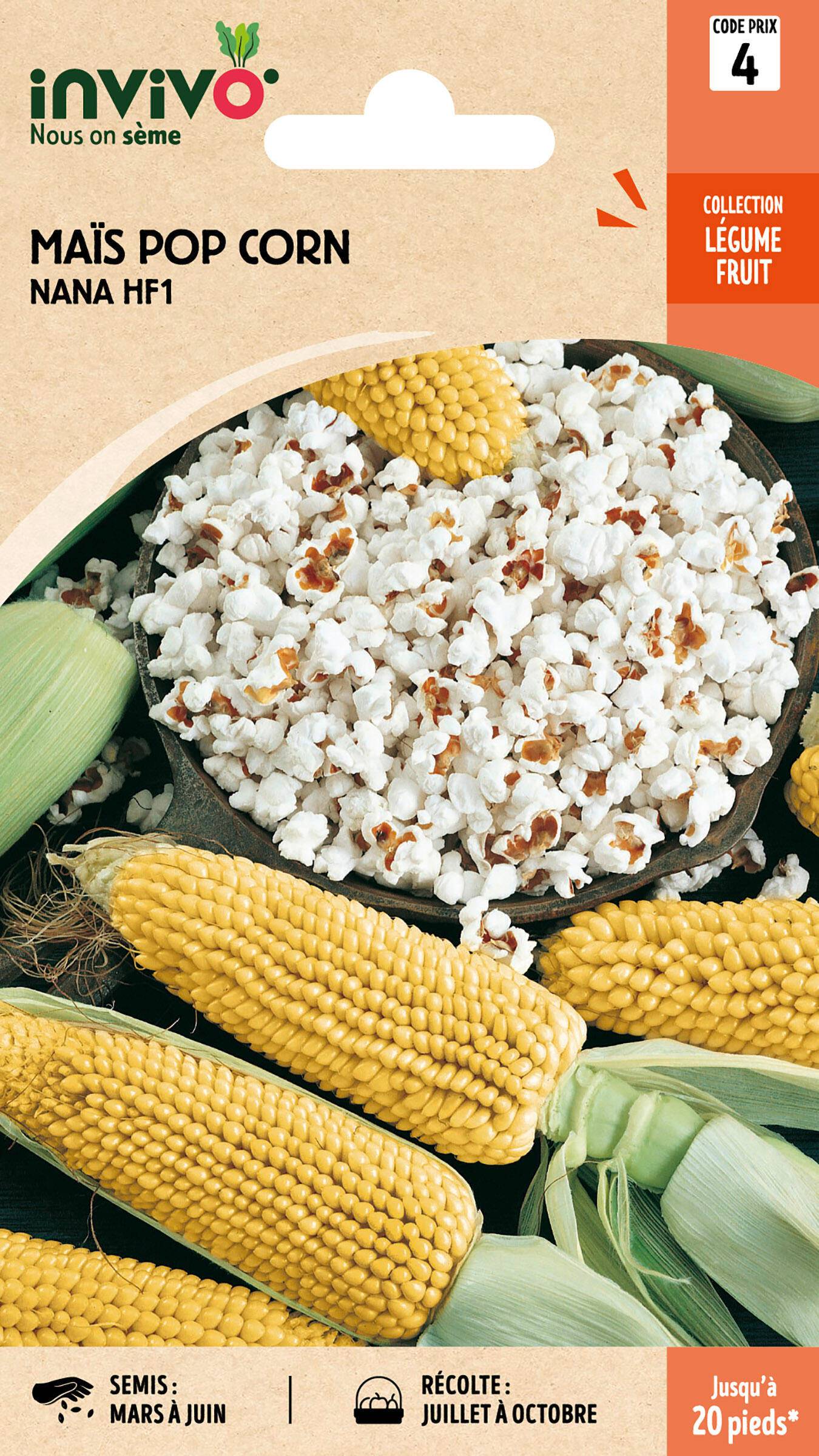 Invivo Nous On Sème - Melon Pop-Corn Nana HF1 sachet de 8g - Série 4 - INVIVO Nous on sème - Image 1