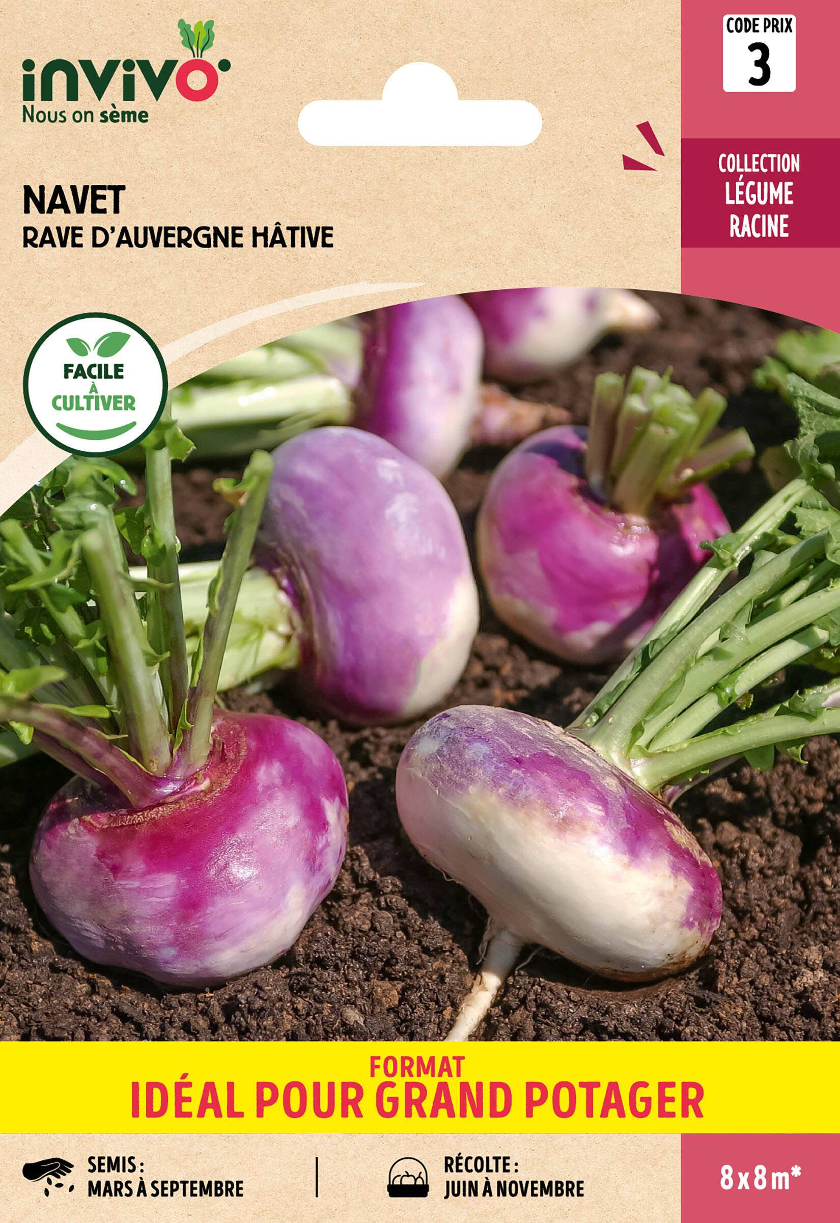 Invivo Nous On Sème - Navet-Légume Rave d'Auvergne Hâtive sachet de 13g grand modèle - Série 3 - INVIVO Nous on sème