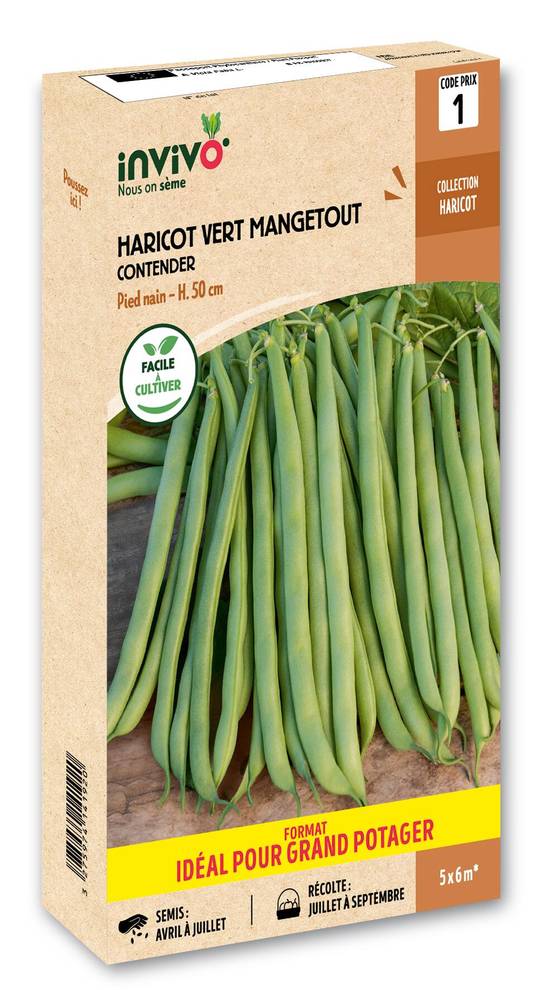 Invivo Nous On Sème - Haricot Nain Vert Mangetout Contender en boîte de 500g - Série 1 - INVIVO Nous on sème - Image 1