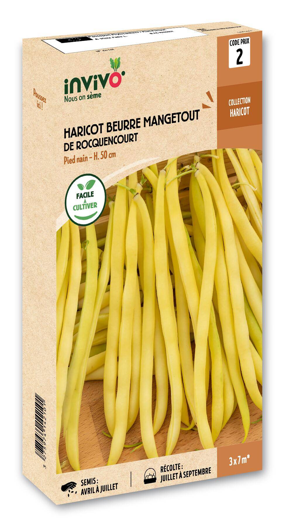 Invivo Nous On Sème - Haricot Nain Mangetout Beurre de Rocquencourt boîte de 200g - Série 2 - INVIVO Nous on sème - Image 1