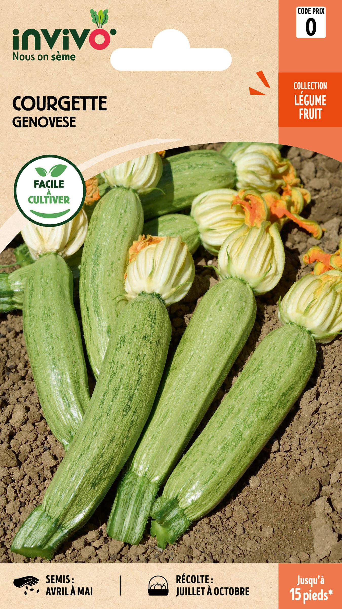 Invivo Nous On Sème - Courgette Genovese sachet de 4g - Série 0 - INVIVO Nous on sème