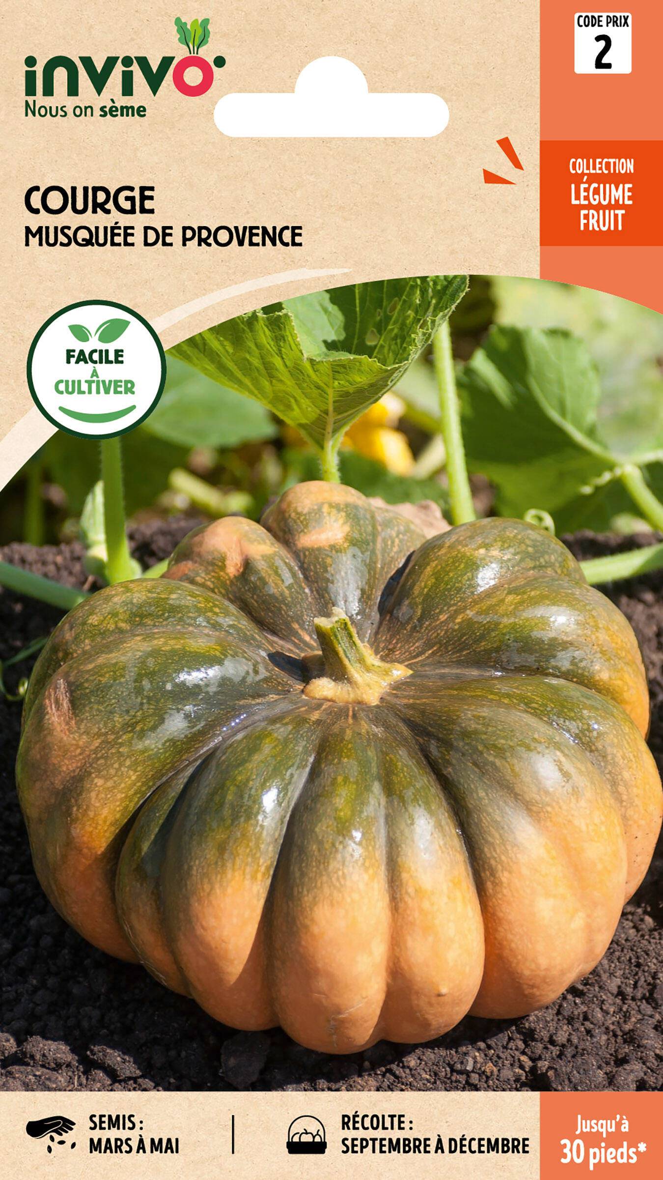 Invivo Nous On Sème - Courge Musquée de Provence sachet de 6g - Série 2 - INVIVO Nous on sème