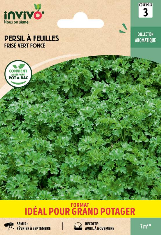 Invivo Nous On Sème - Persil à feuilles frisé vert foncé graines sachet 13 g - INVIVO Nous on sème - Image 1