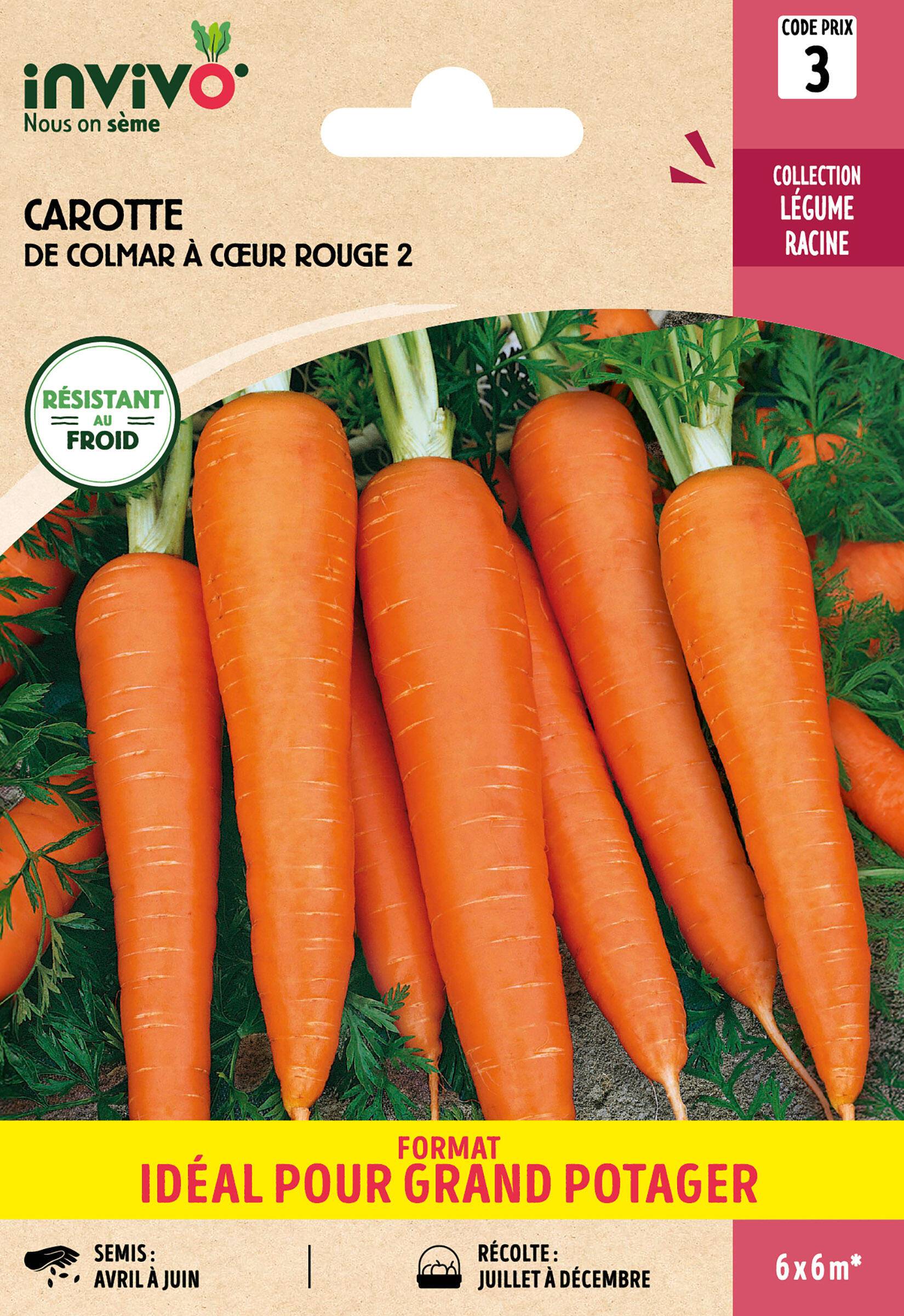 Invivo Nous On Sème - Carotte de Colmar à Cœur Rouge 2 sachet de 15g grand modèle - Série 3 - INVIVO Nous on sème - Image 1