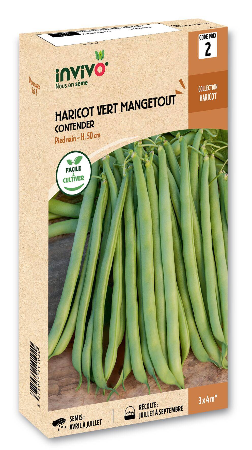 Invivo Nous On Sème - Haricot Nain Vert Mangetout Contender boîte de 200g - Série 2 - INVIVO Nous on sème