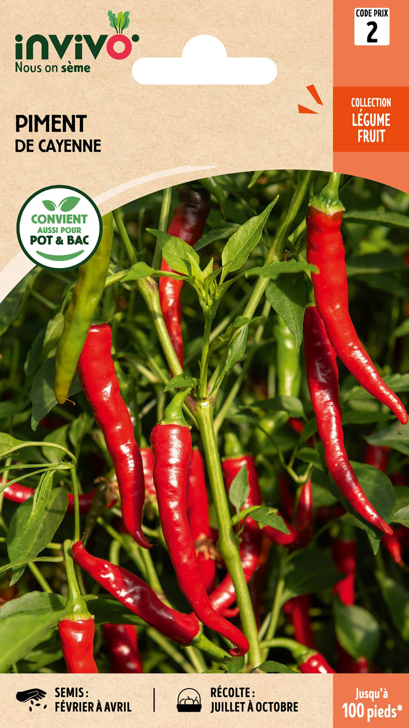 Invivo Nous On Sème - Piment de Cayenne sachet de 2g - Série 2 - INVIVO Nous on sème - Image 1