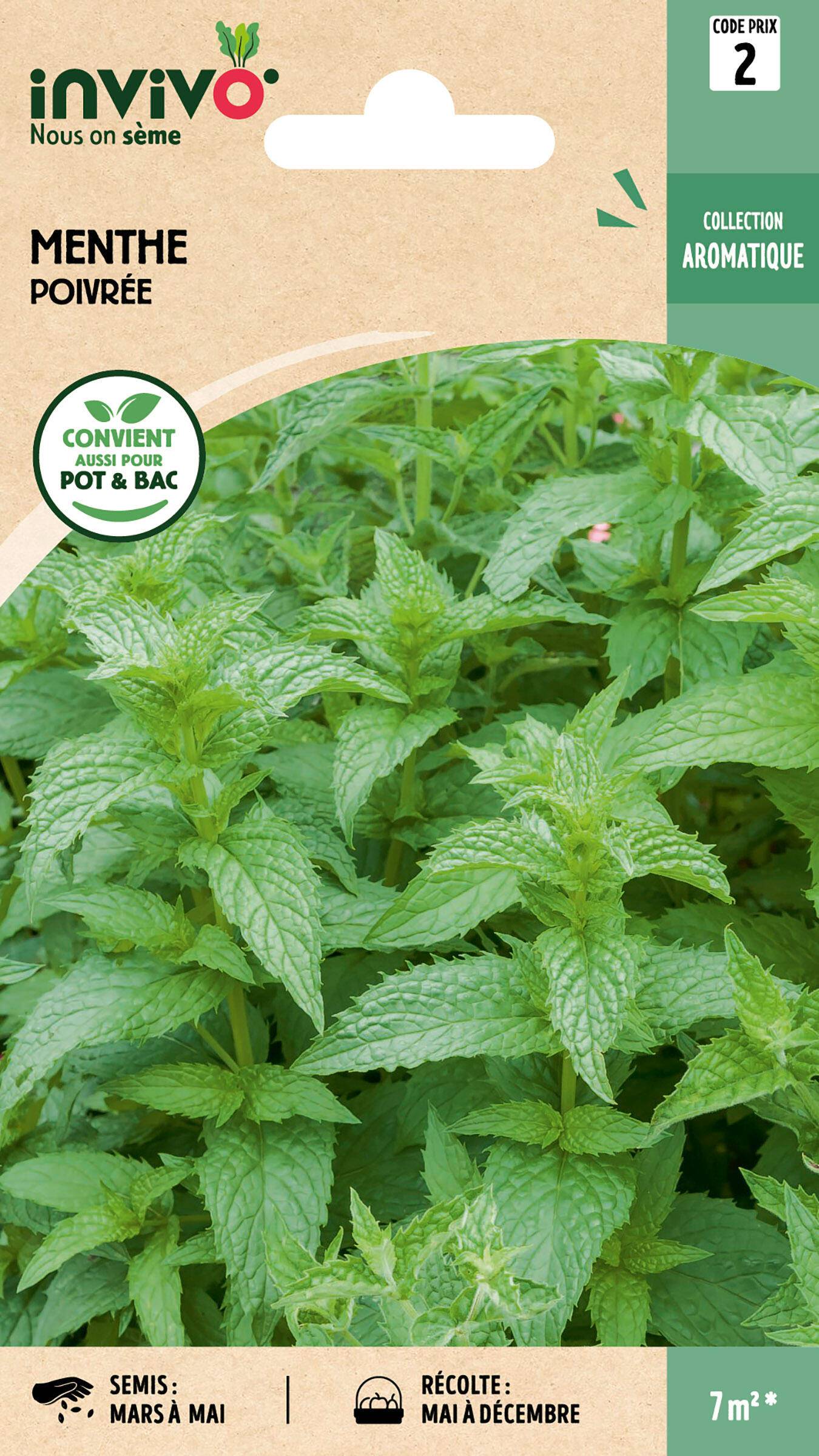 Invivo Nous On Sème - Menthe poivrée graines sachet 0,3 g - INVIVO Nous on sème