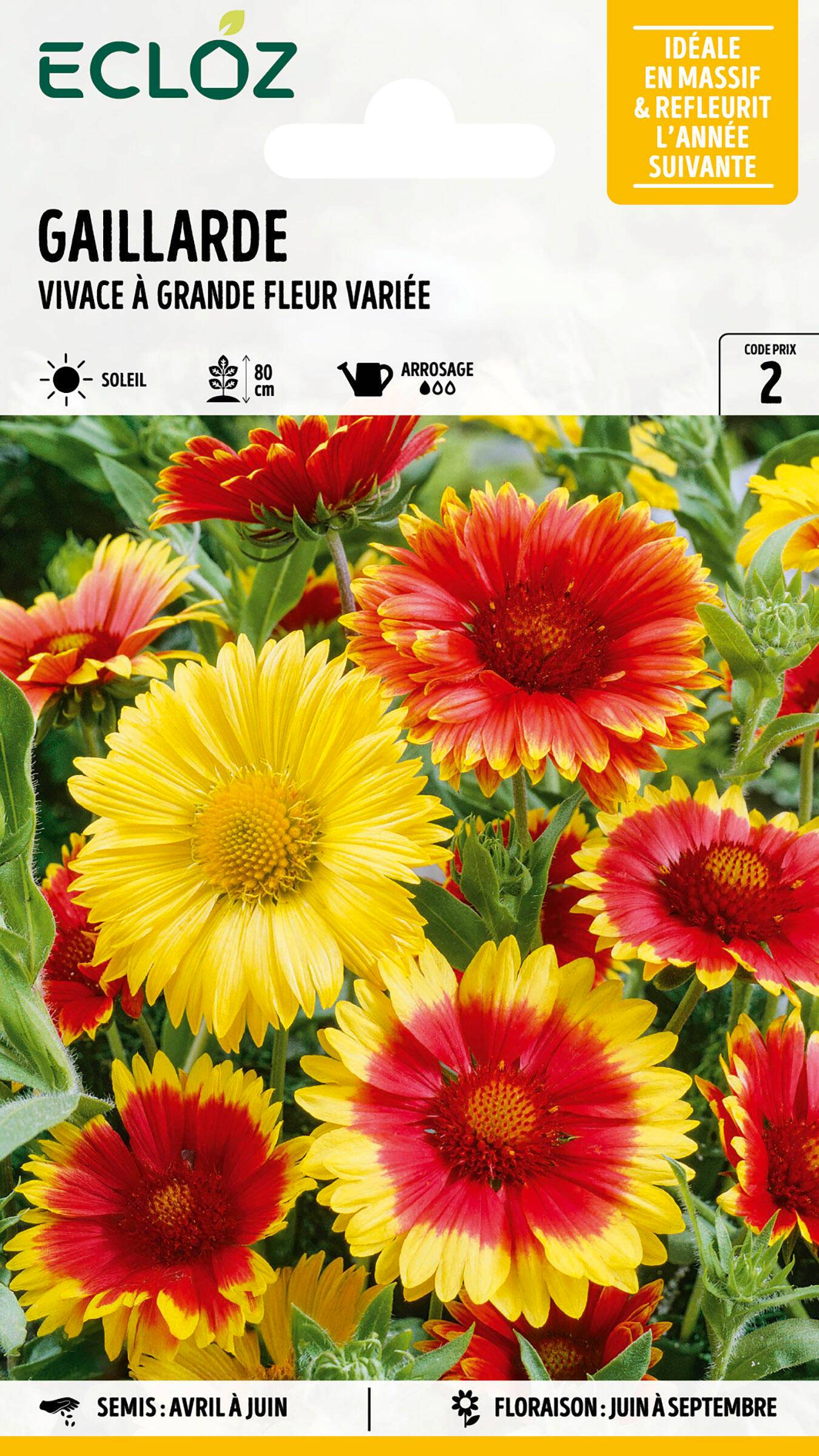 Ecloz - Gaillarde vivace à grande fleur variée graines sachet 1,5 g - ECLOZ