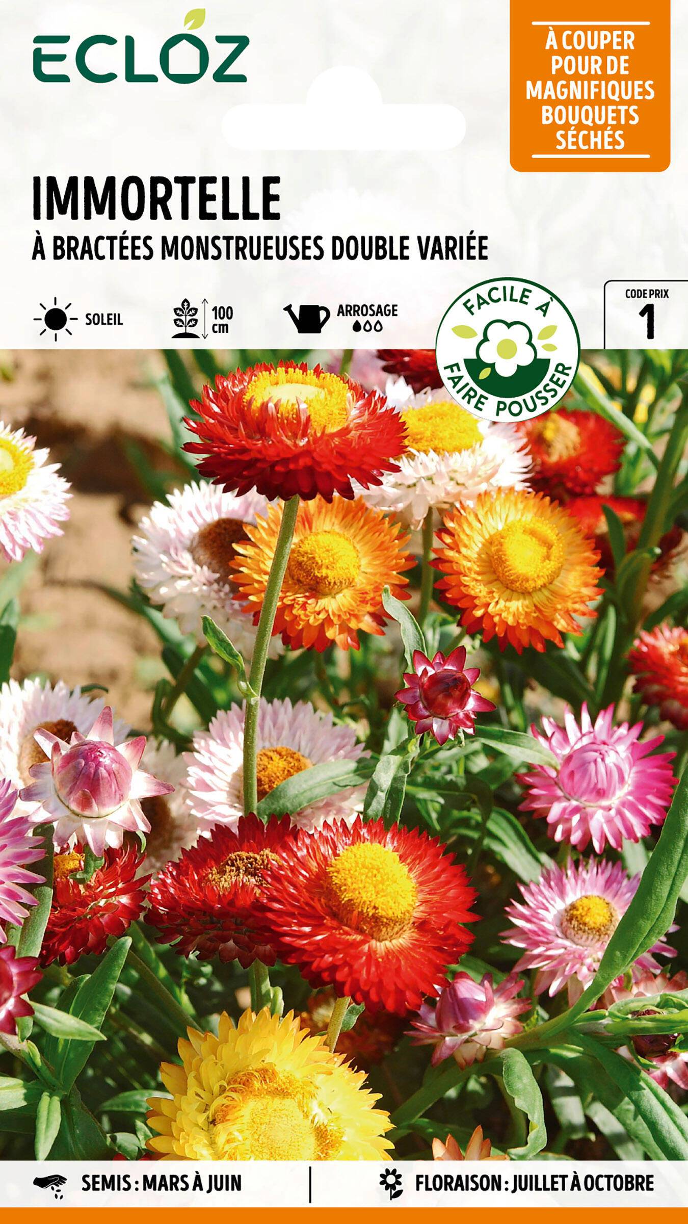 Ecloz - Immortelle à bractées double Monstrueuses variée graines sachet 1,2 g - ECLOZ - Image 1