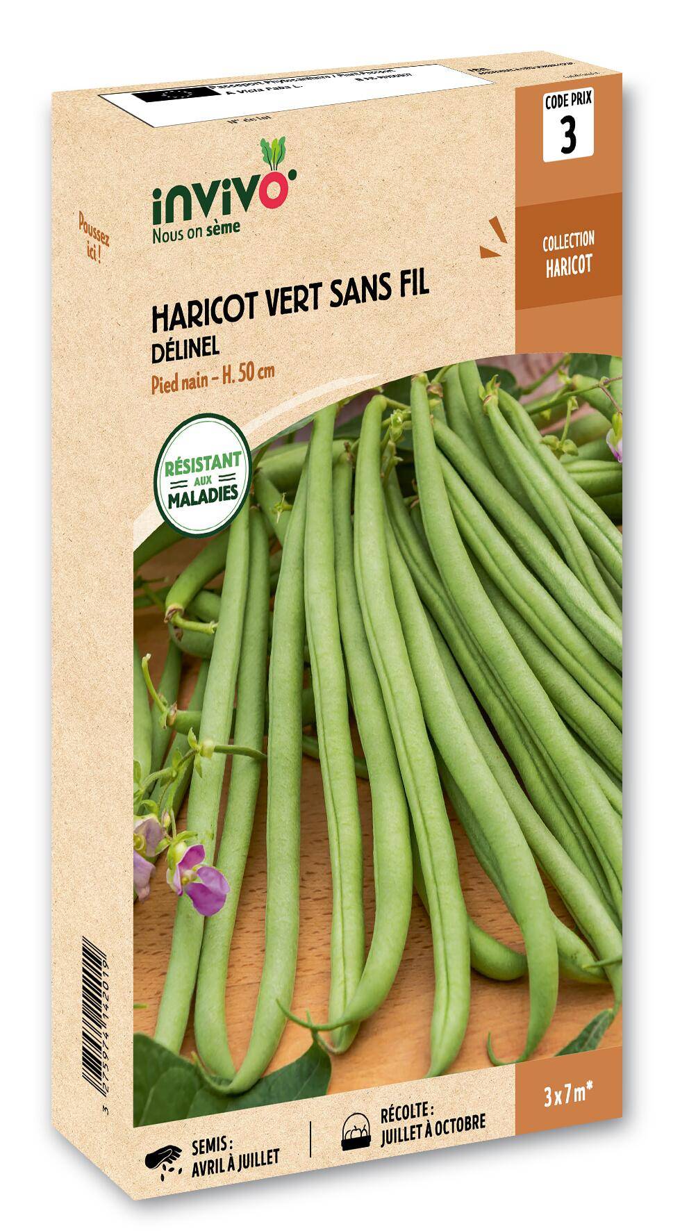 Invivo Nous On Sème - Haricot Nain Vert à Filet Sans Fil Délinel boîte de 200g - Série 3 - INVIVO Nous on sème