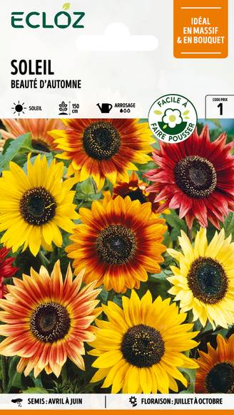 Ecloz - Soleil Beauté d'Automne graines sachet 3 g - ECLOZ