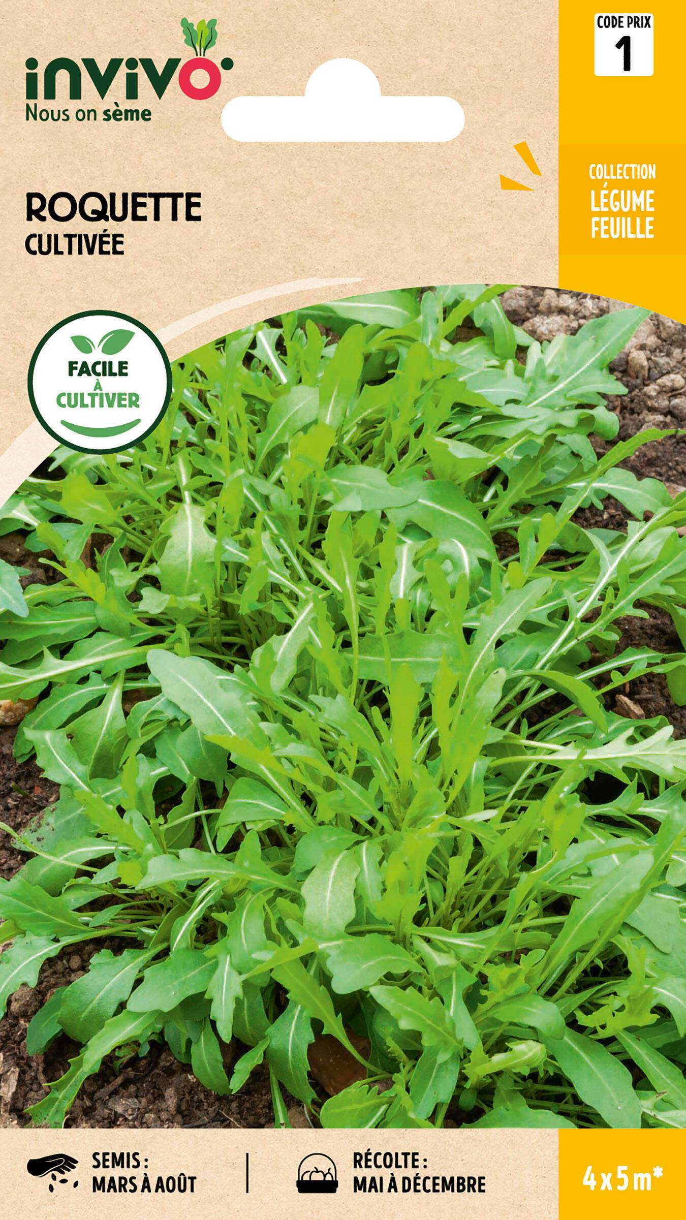 Invivo Nous On Sème - Roquette Cultivée sachet de 5g - Série 1 - INVIVO Nous on sème