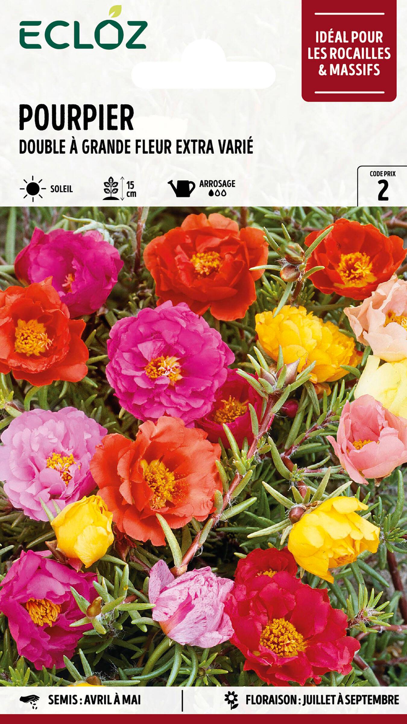 Ecloz - Pourpier double à grande fleur varié Extra graines sachet 1 g - ECLOZ - Image 1
