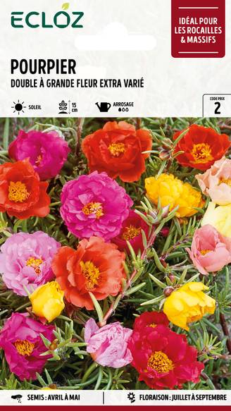 Ecloz - Pourpier double à grande fleur varié Extra graines sachet 1 g - ECLOZ