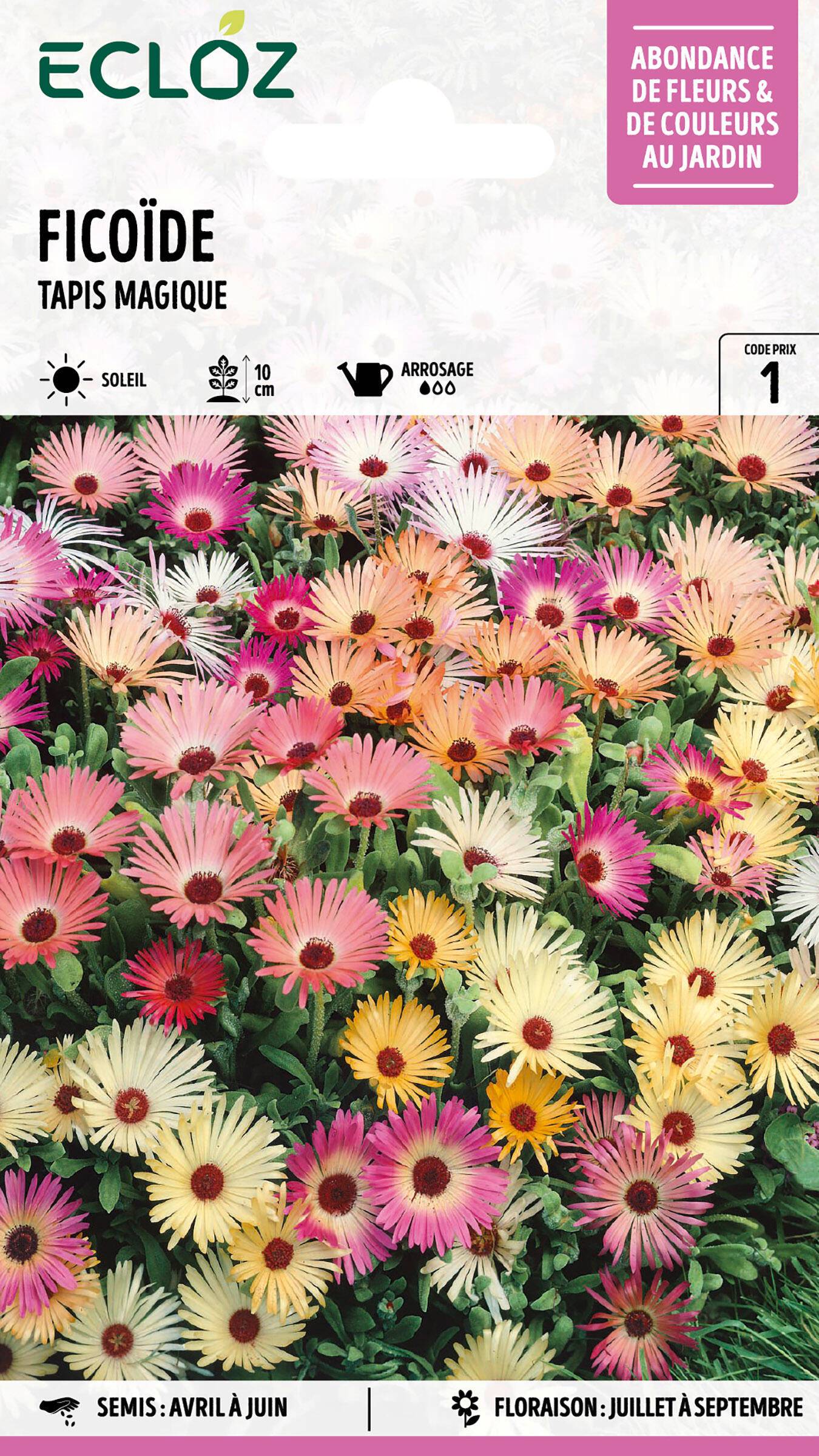 Ecloz - Ficoïde Tapis magique graines sachet 1,2 g - ECLOZ - Image 1