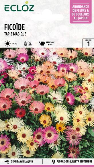 Ecloz - Ficoïde Tapis magique graines sachet 1,2 g - ECLOZ