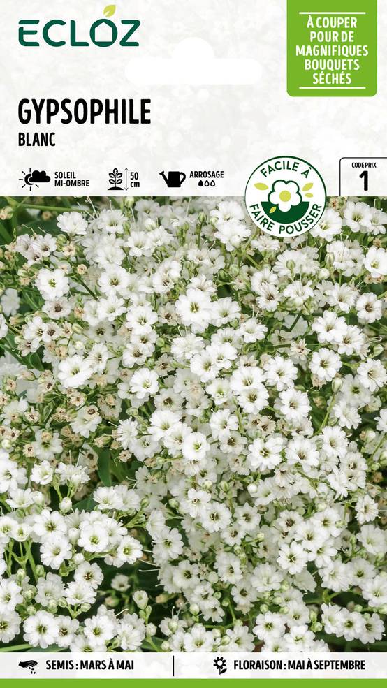 Ecloz - Gypsophile blanc graines sachet 3 g - ECLOZ - Image 1