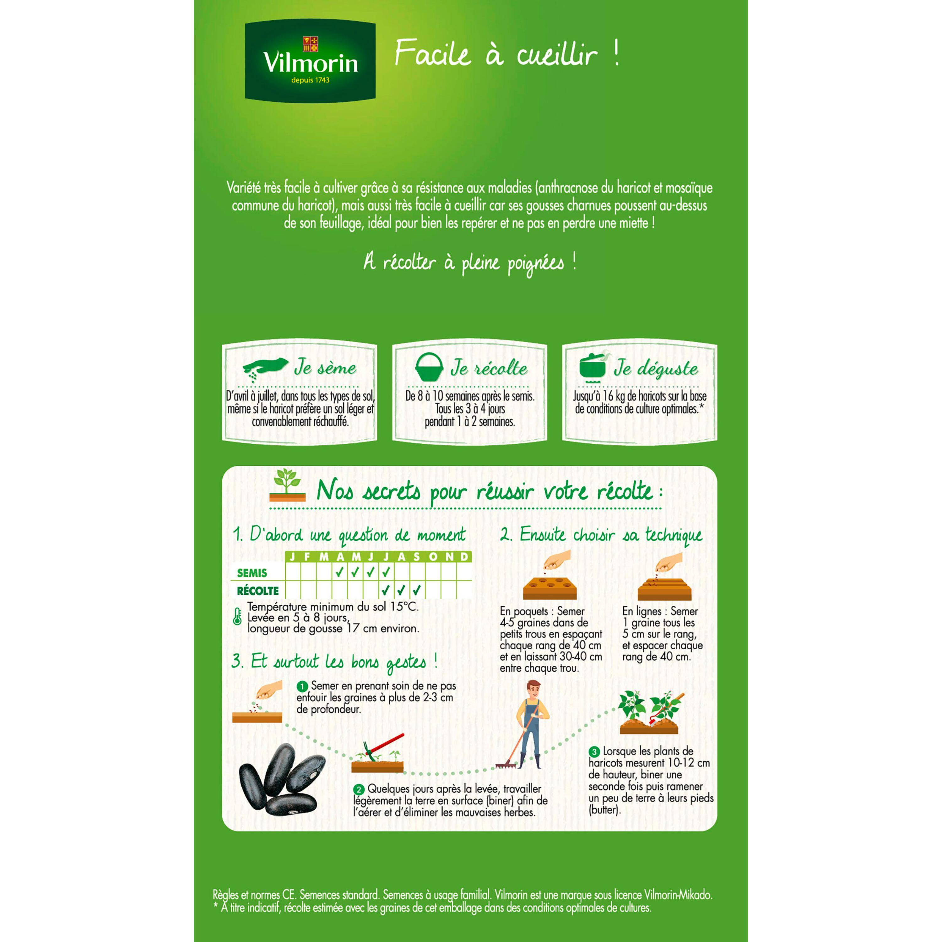 Vilmorin - Haricot nain vert sans fil Majestik (Déclivis) Boite de 200g - Série 2 -Vilmorin - Image 2