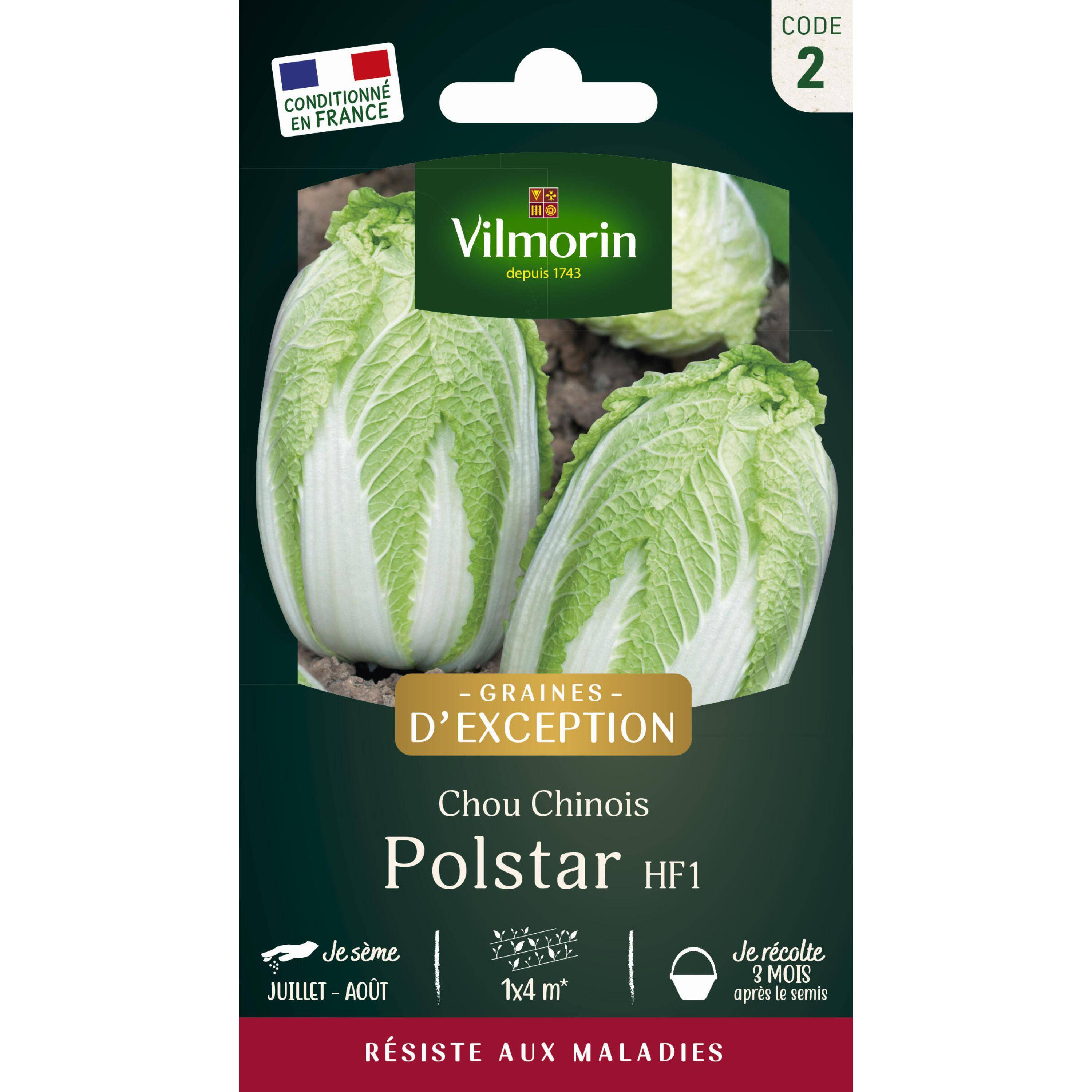 Vilmorin - Chou Chinois Polstar HF1 - Graines d'Exception Sachet de 0,6g - Série 2 -Vilmorin - Image 1