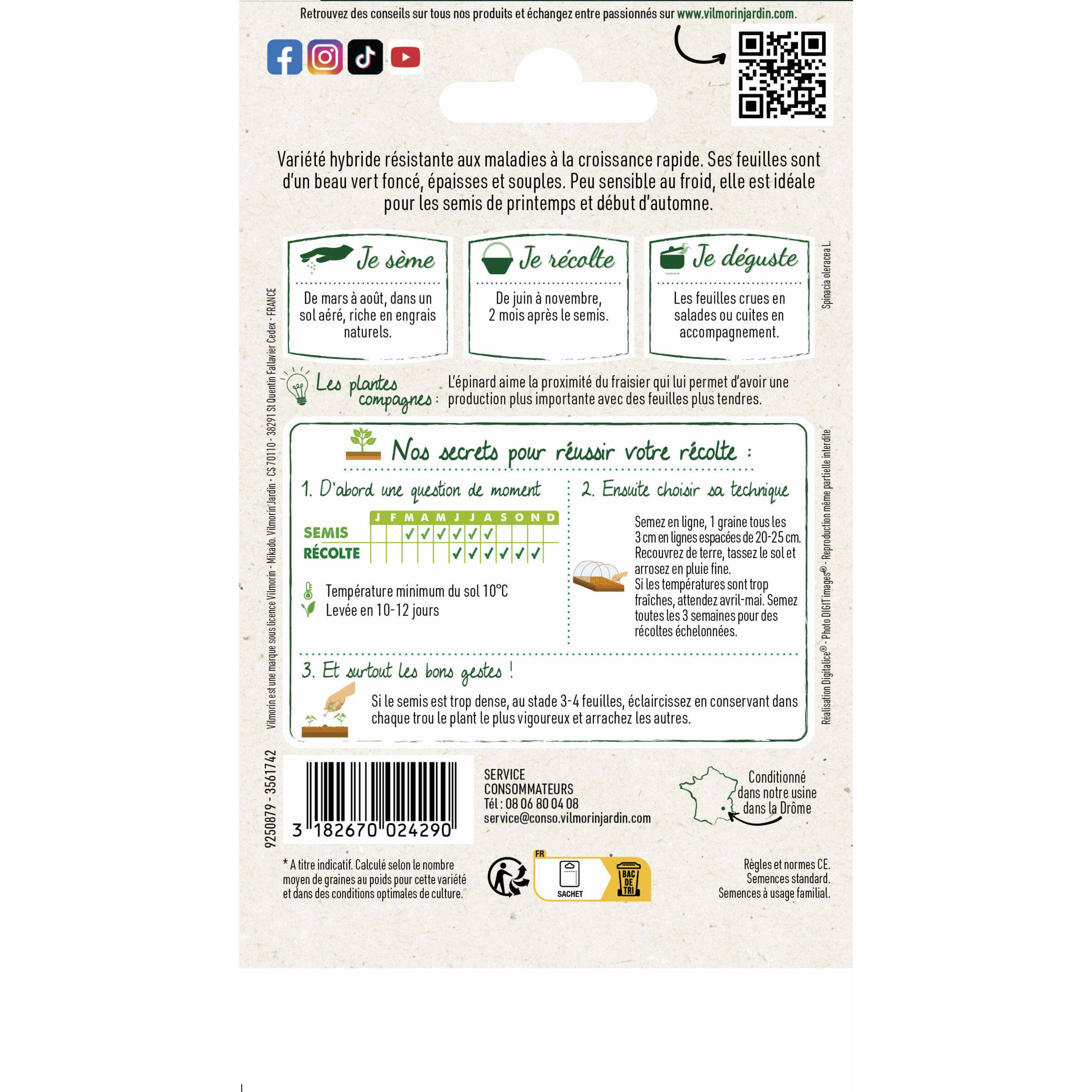 Vilmorin - Epinard Woodpecker HF1 - Graines d'Exception Sachet de 15g - Série 2 -Vilmorin - Image 2