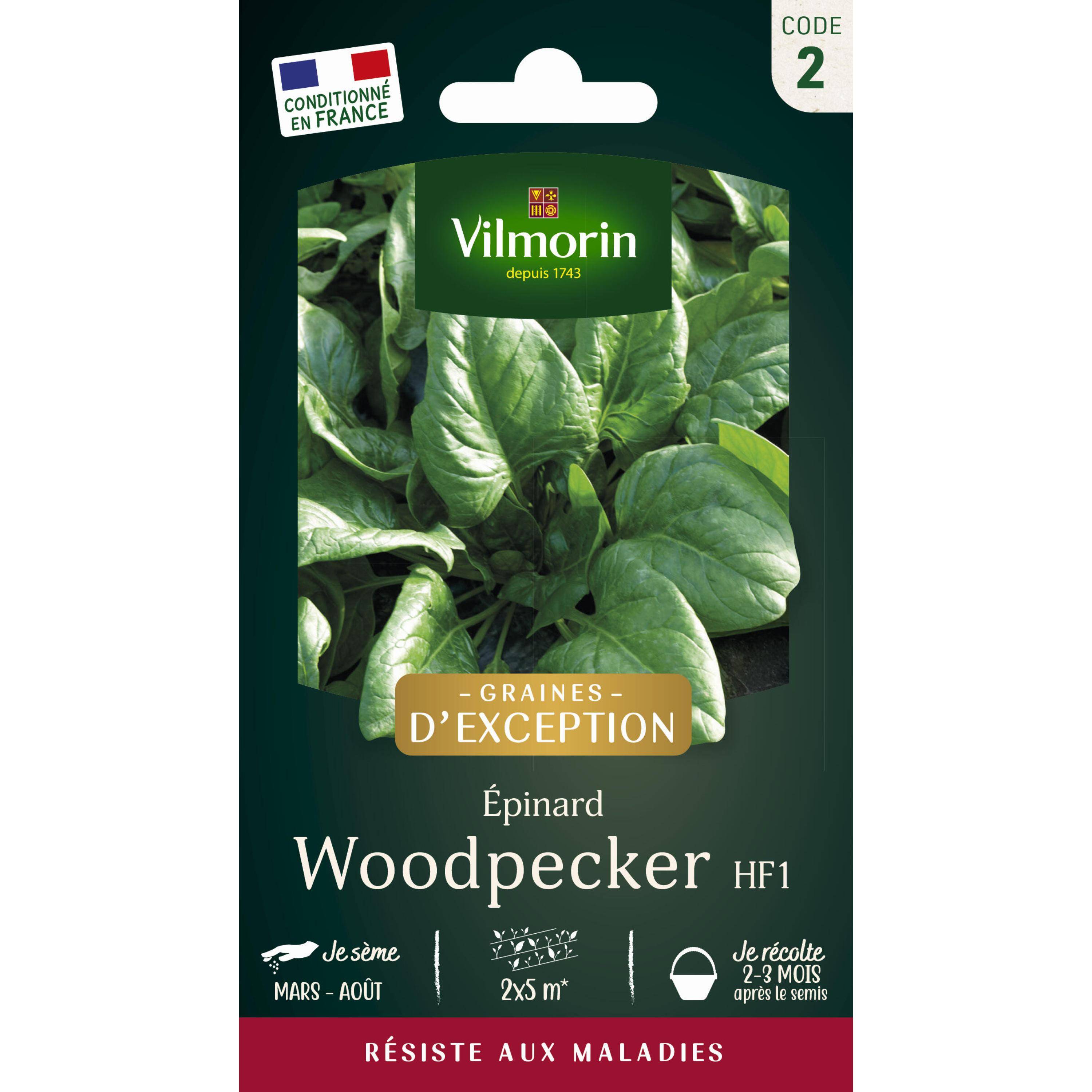Vilmorin - Epinard Woodpecker HF1 - Graines d'Exception Sachet de 15g - Série 2 -Vilmorin