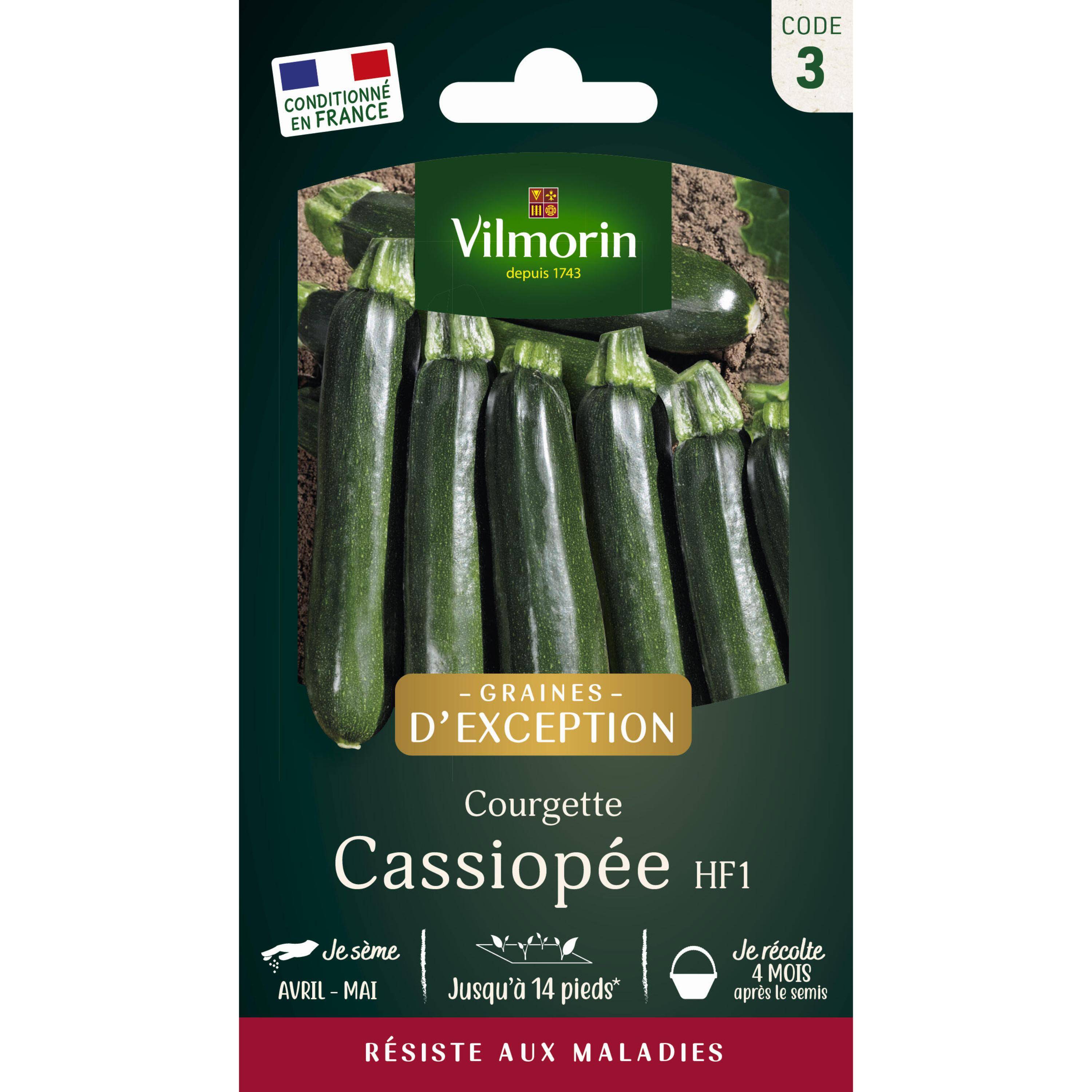 Vilmorin - Courgette Cassiopée HF1 - Graines d'Exception Sachet de 3g - Série 3 -Vilmorin - Image 1