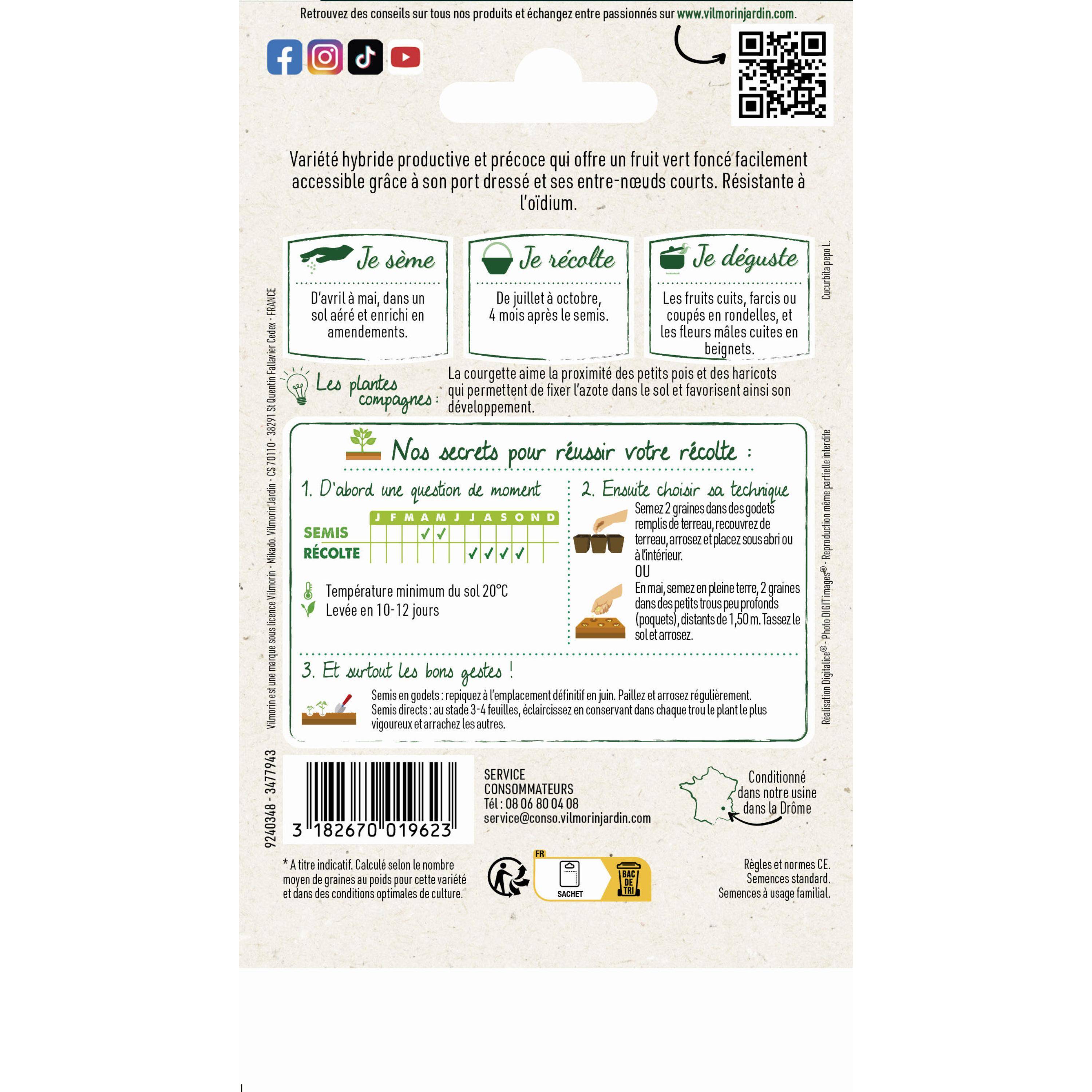 Vilmorin - Courgette Cassiopée HF1 - Graines d'Exception Sachet de 3g - Série 3 -Vilmorin - Image 2