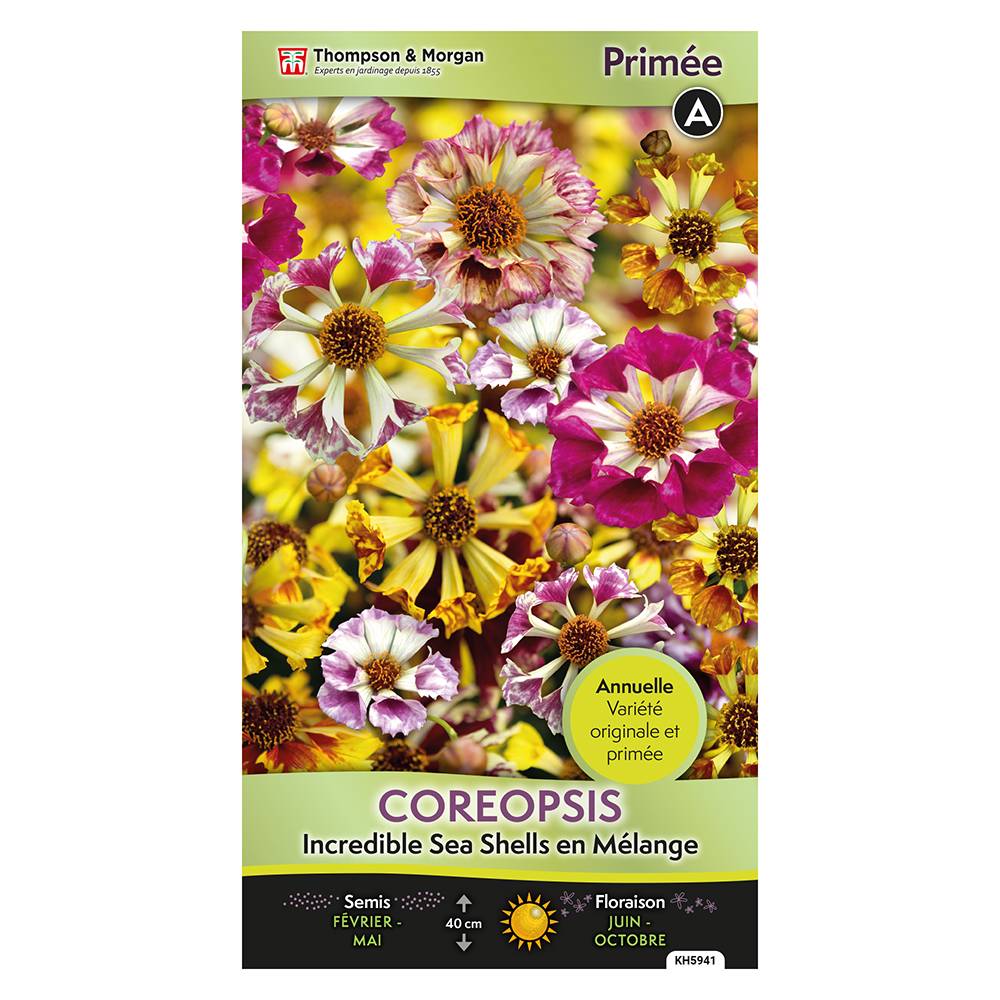 Graines de Coreopsis Incredible Sea Shells en mélange - Thompson ...