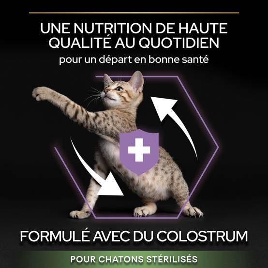 PRO PLAN Sterilised Kitten HEALTHY START Saumon 3kg - Image 7