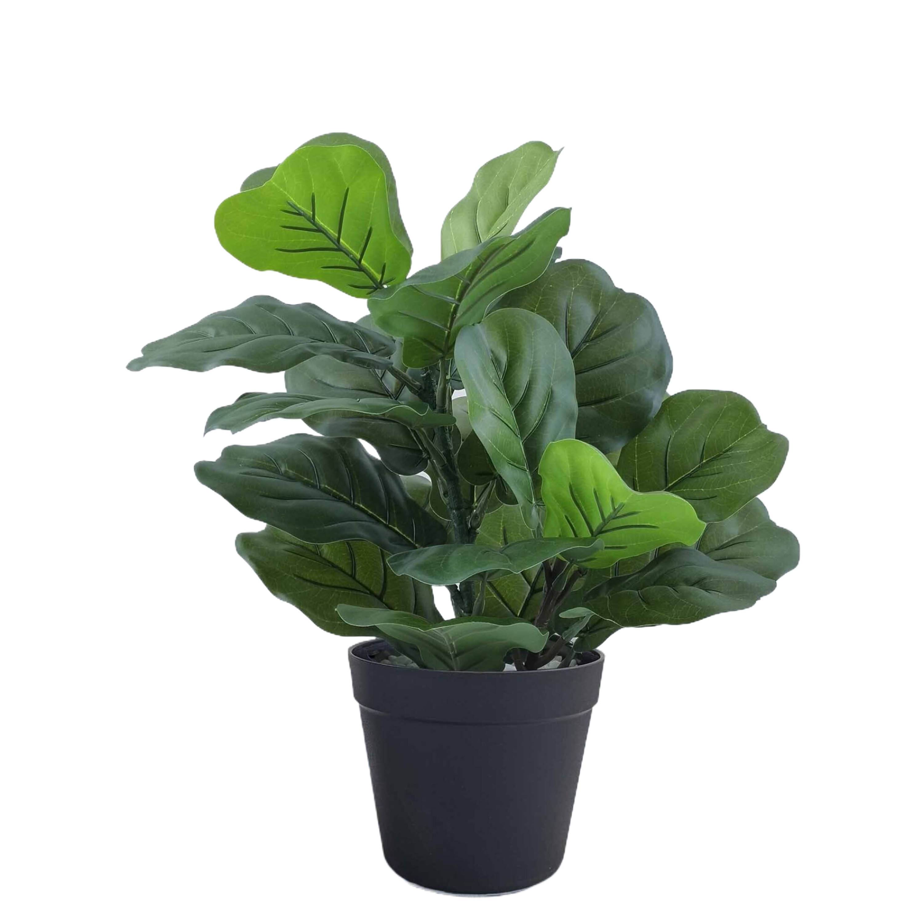 Ecloz - Ficus artificiel en pot - H. 42 cm - ECLOZ - Image 1