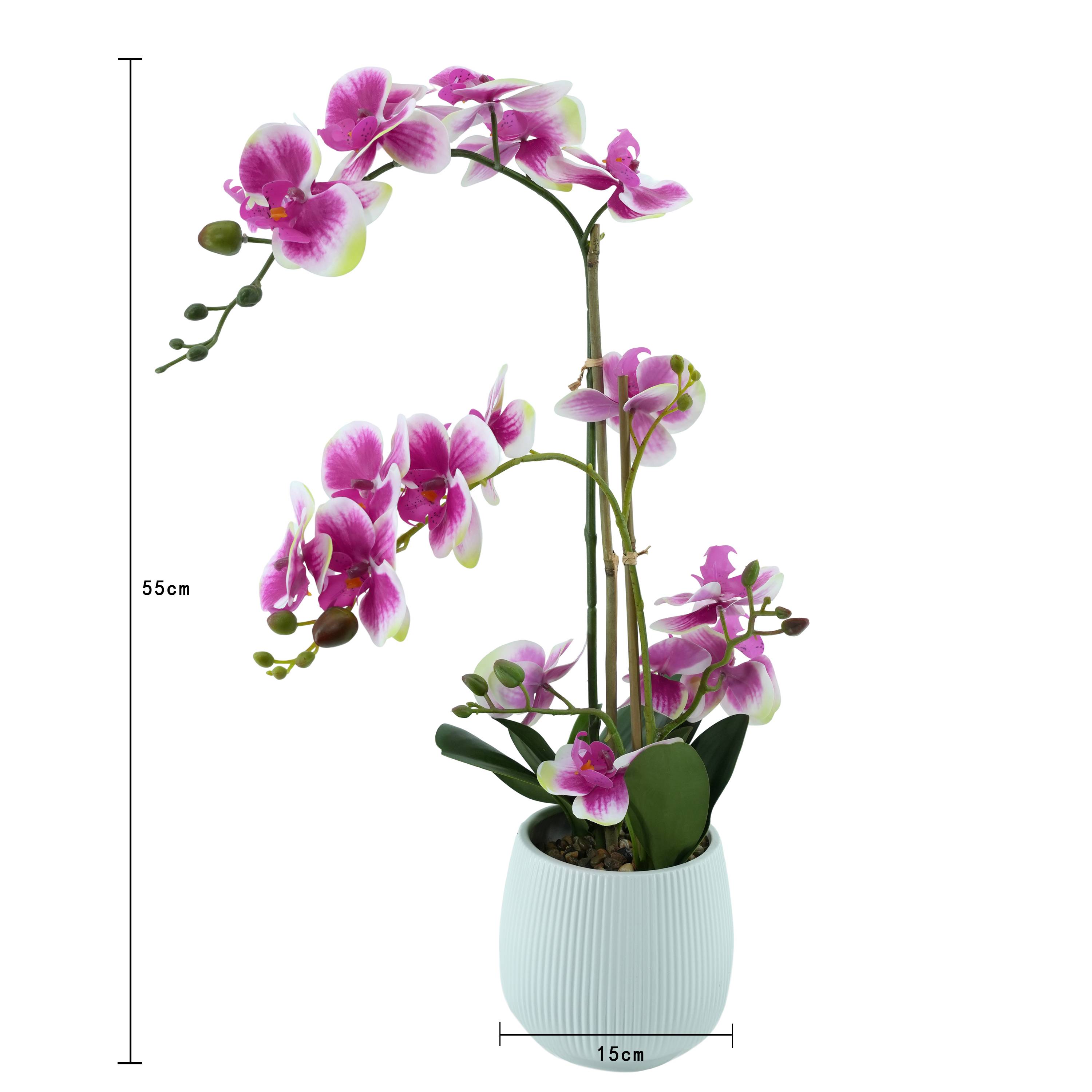 Ecloz - Orchidée phalaénopsis artificielle en pot - 2 tiges - rose cœur magenta - H. 55cm - ECLOZ - Image 3