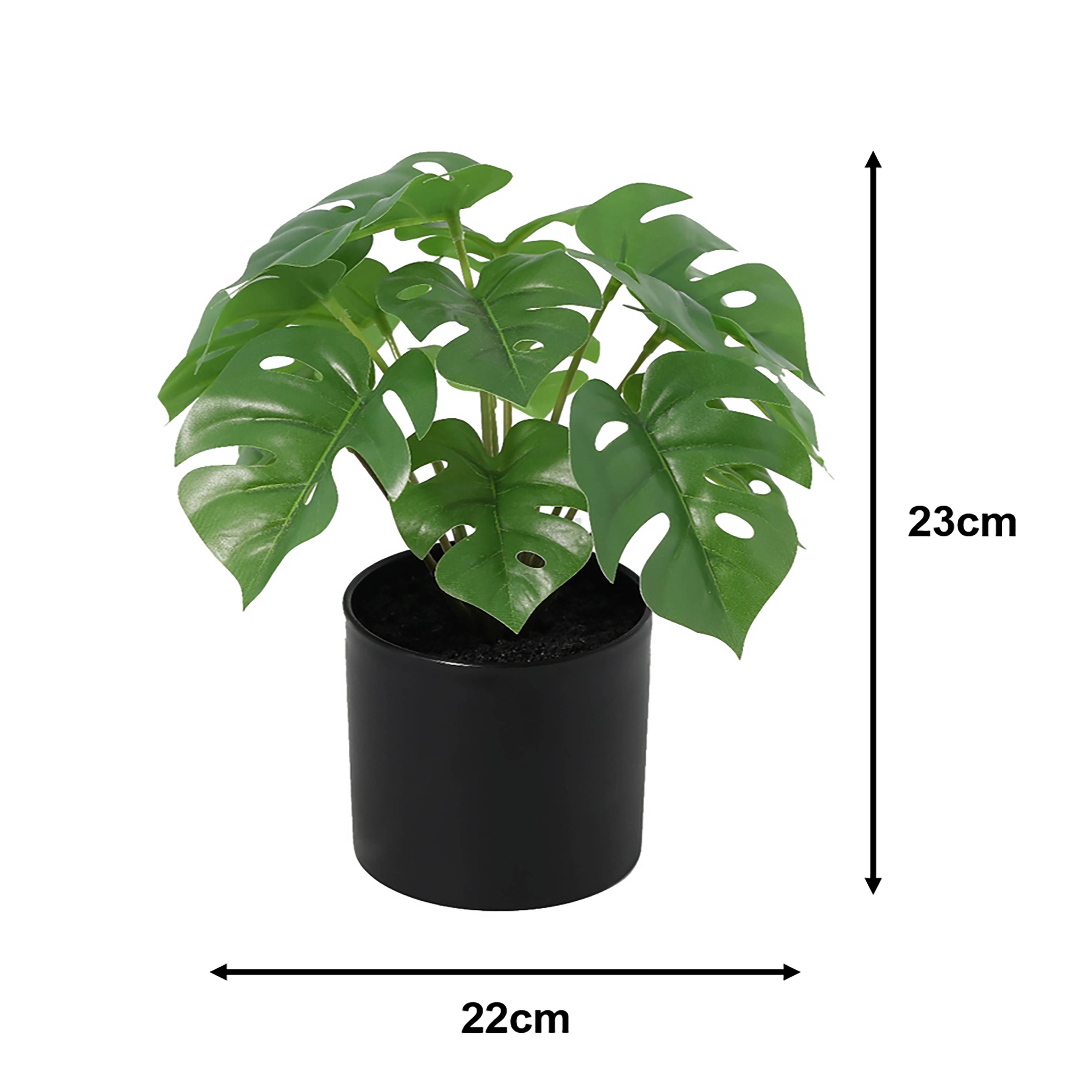 Ecloz - Monstera artificiel en pot - H. 23 cm - ECLOZ - Image 2