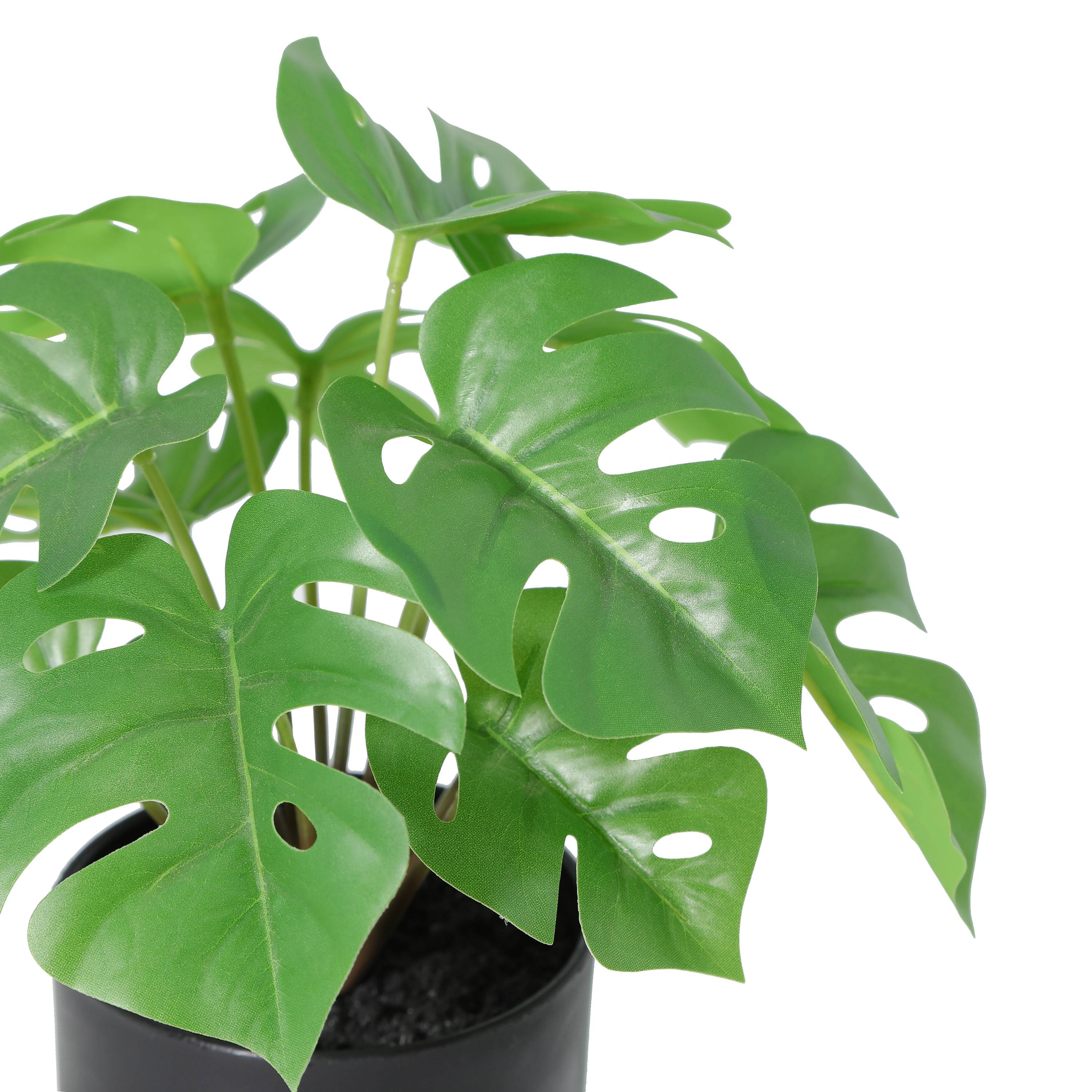 Ecloz - Monstera artificiel en pot - H. 23 cm - ECLOZ - Image 3
