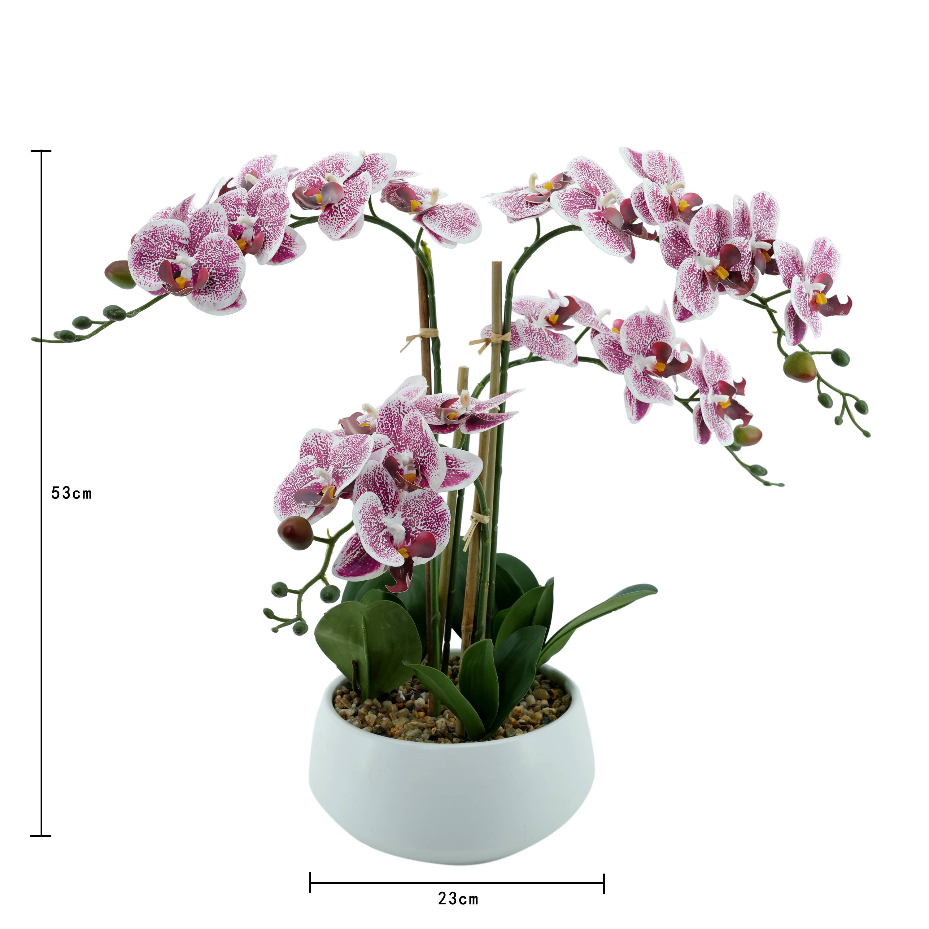 Ecloz - Orchidée phalaénopsis artificielle en pot - 4 tiges - blanche tachetée pourpre - H. 55 cm - ECLOZ - Image 2