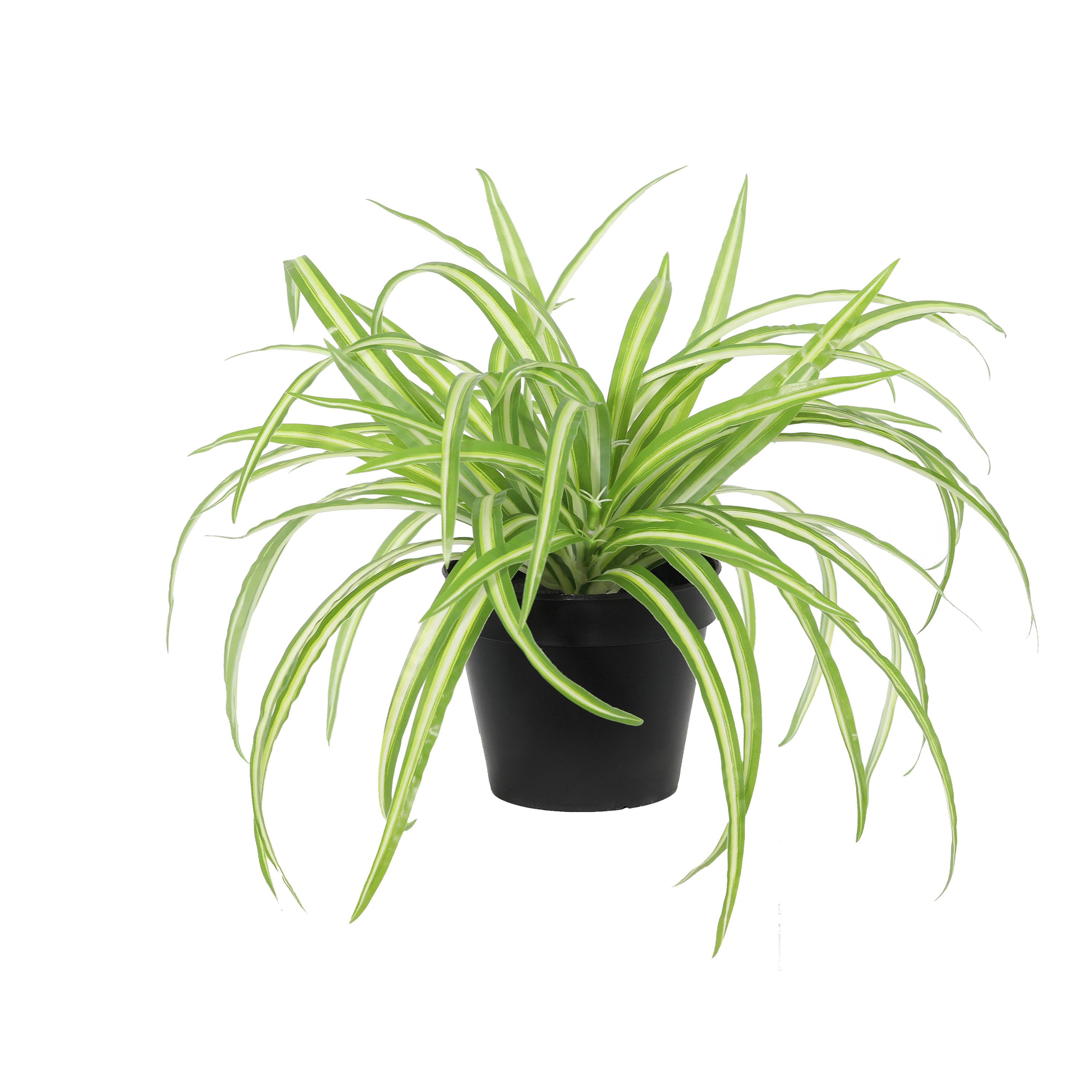 Ecloz - Chlorophytum artificiel en pot - H. 27 cm - ECLOZ - Image 1