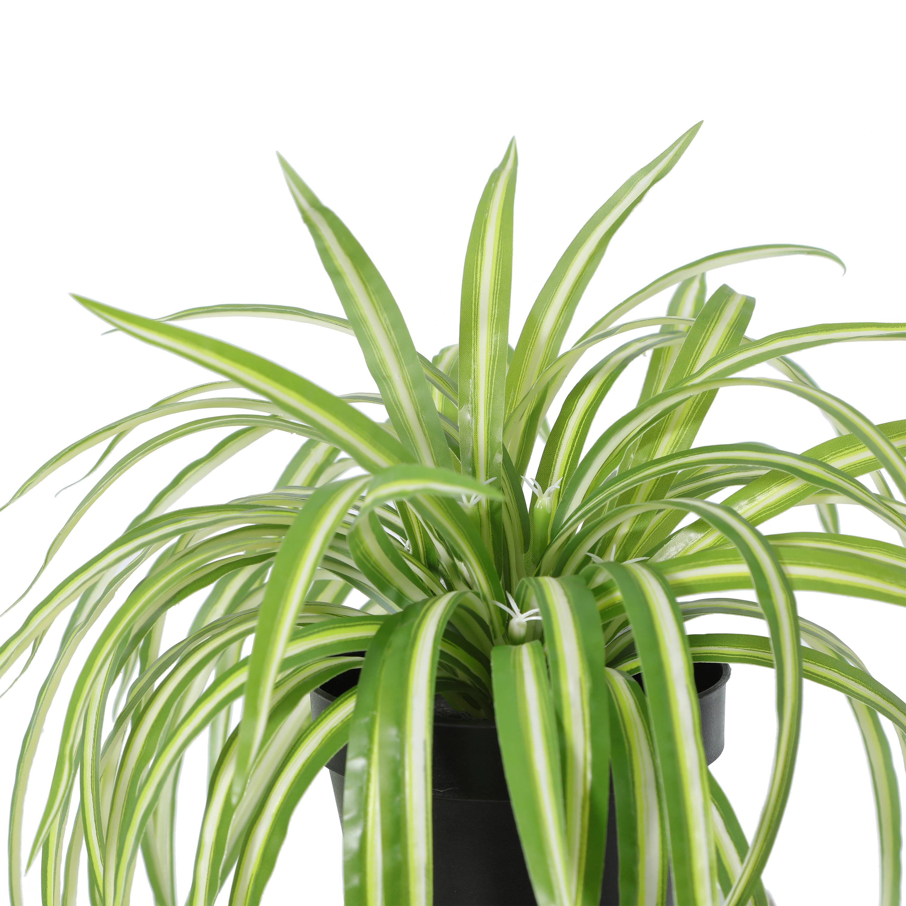 Ecloz - Chlorophytum artificiel en pot - H. 27 cm - ECLOZ - Image 3