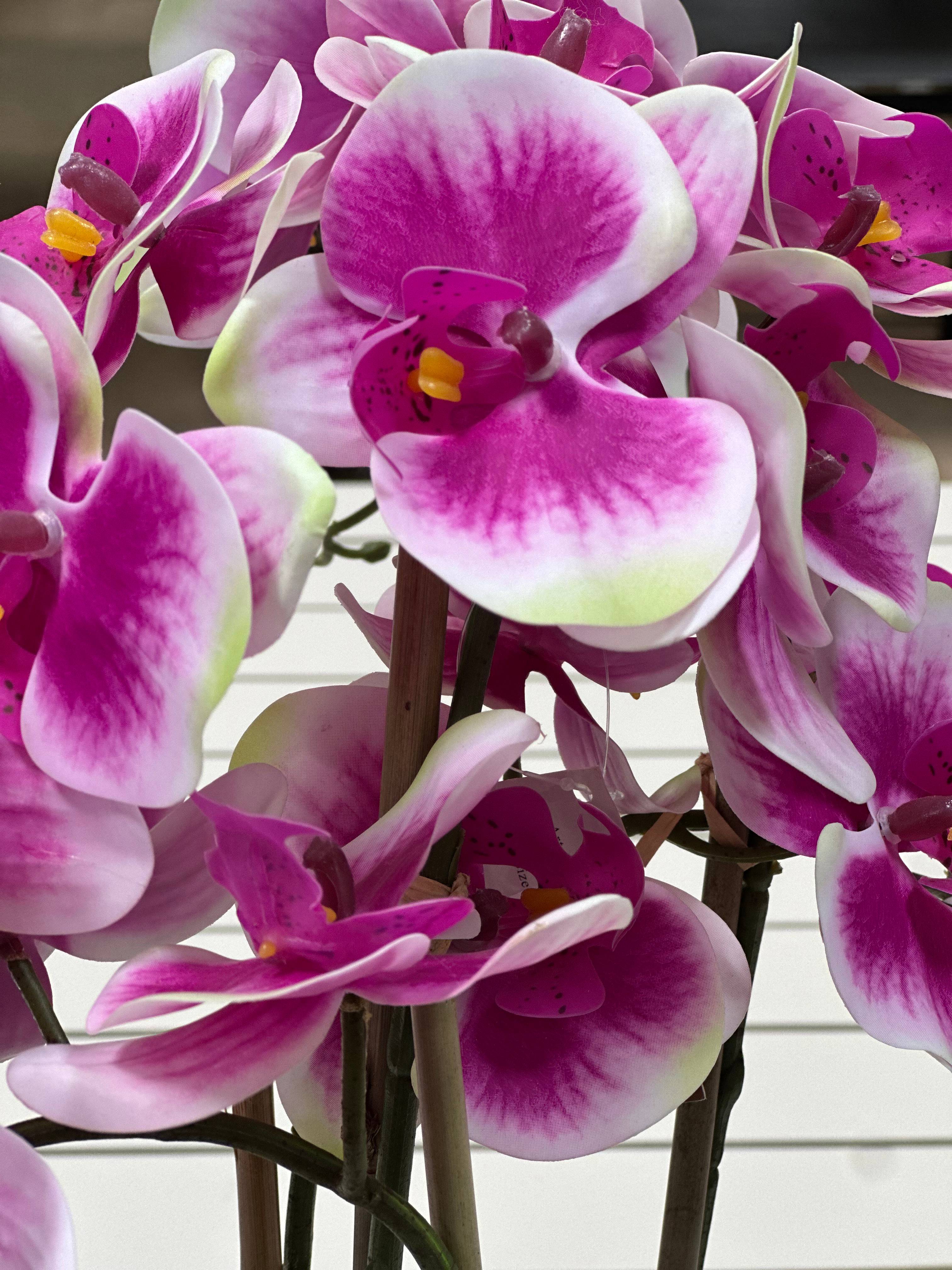 Ecloz - Orchidée phalaénopsis artificielle en pot - 4 tiges - rose cœur magenta - H. 55 cm - ECLOZ - Image 4