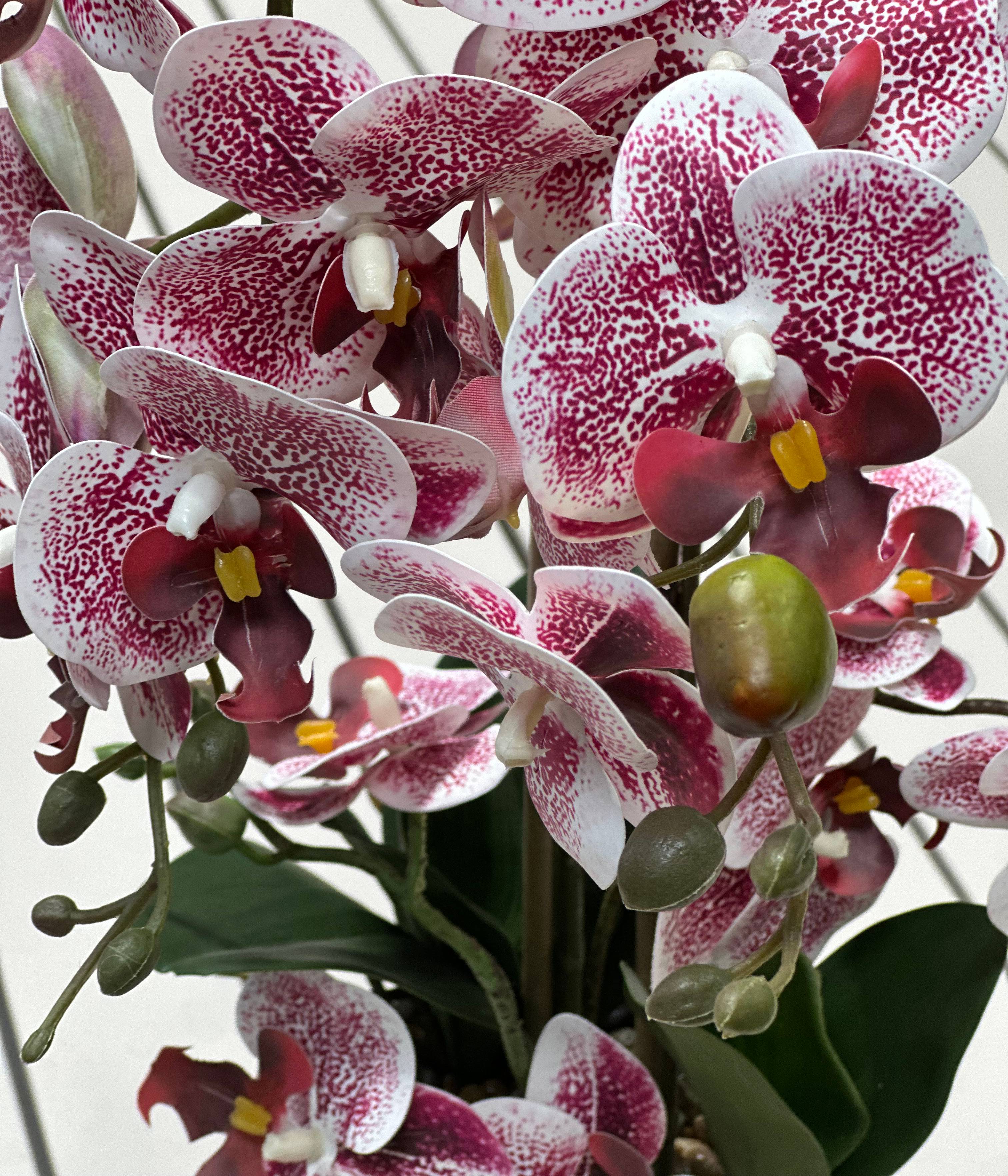 Ecloz - Orchidée phalaénopsis artificielle en pot - 2 tiges - blanche tachetée pourpre - H. 55cm - ECLOZ - Image 6