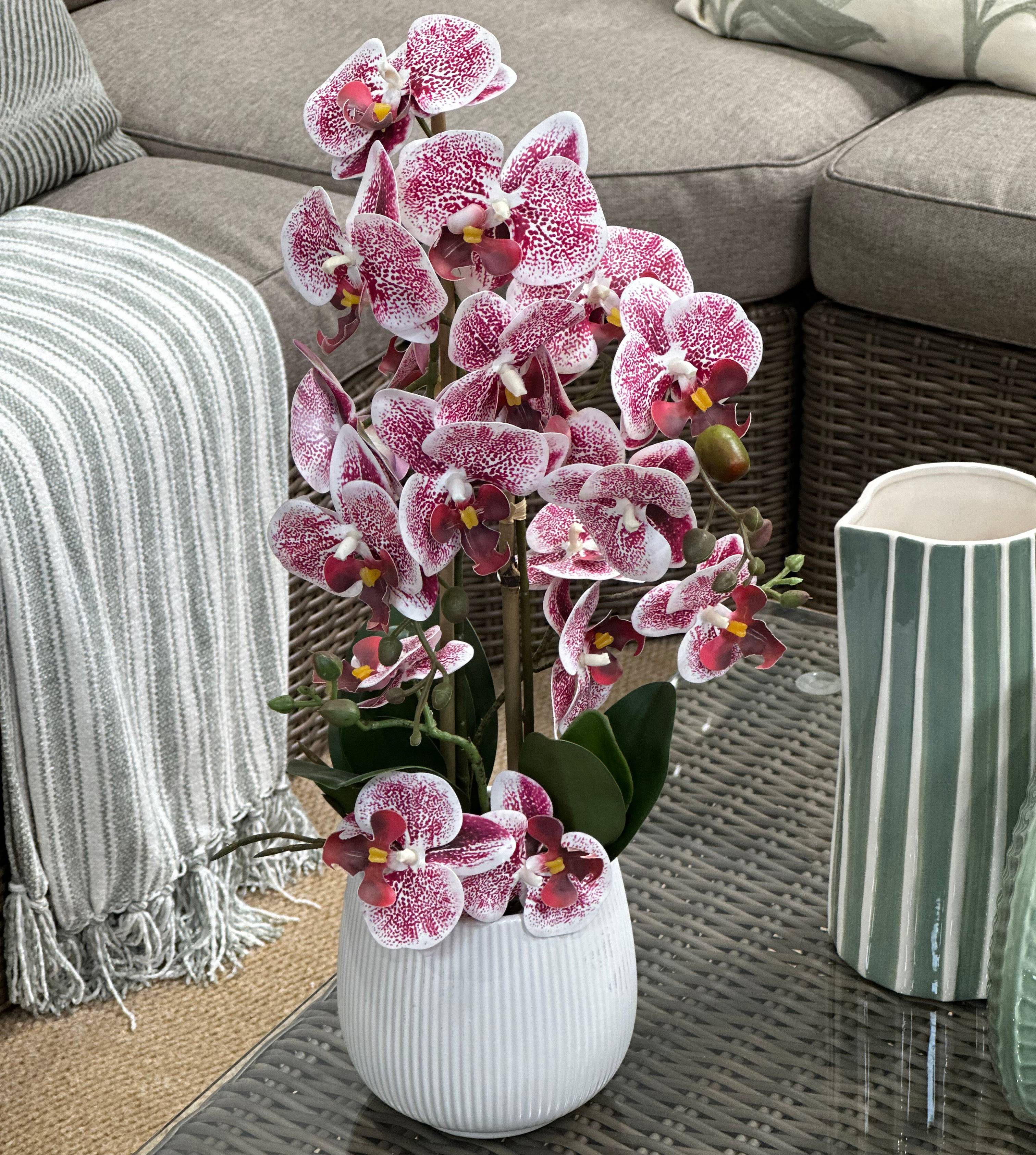 Ecloz - Orchidée phalaénopsis artificielle en pot - 2 tiges - blanche tachetée pourpre - H. 55cm - ECLOZ - Image 5