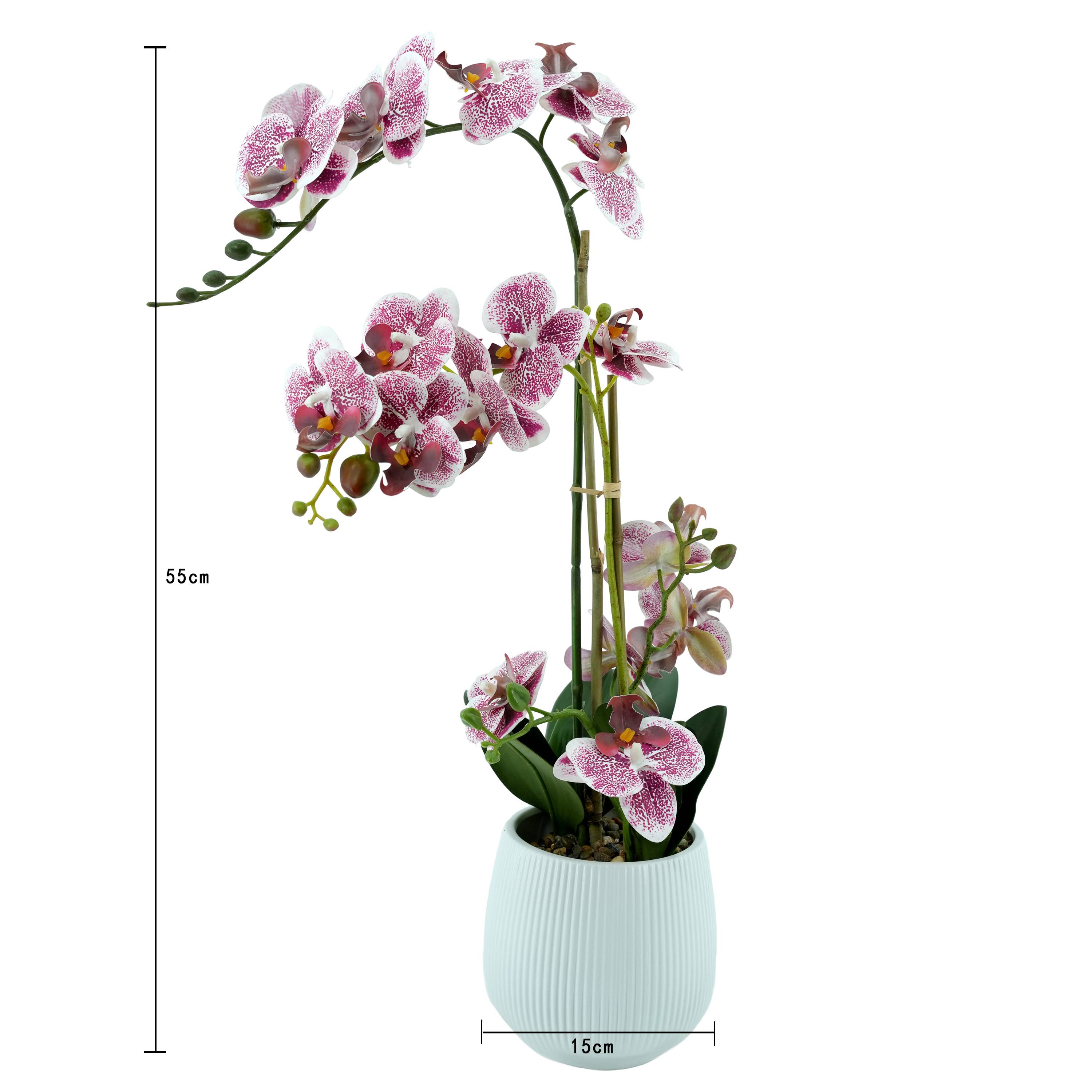 Ecloz - Orchidée phalaénopsis artificielle en pot - 2 tiges - blanche tachetée pourpre - H. 55cm - ECLOZ - Image 4